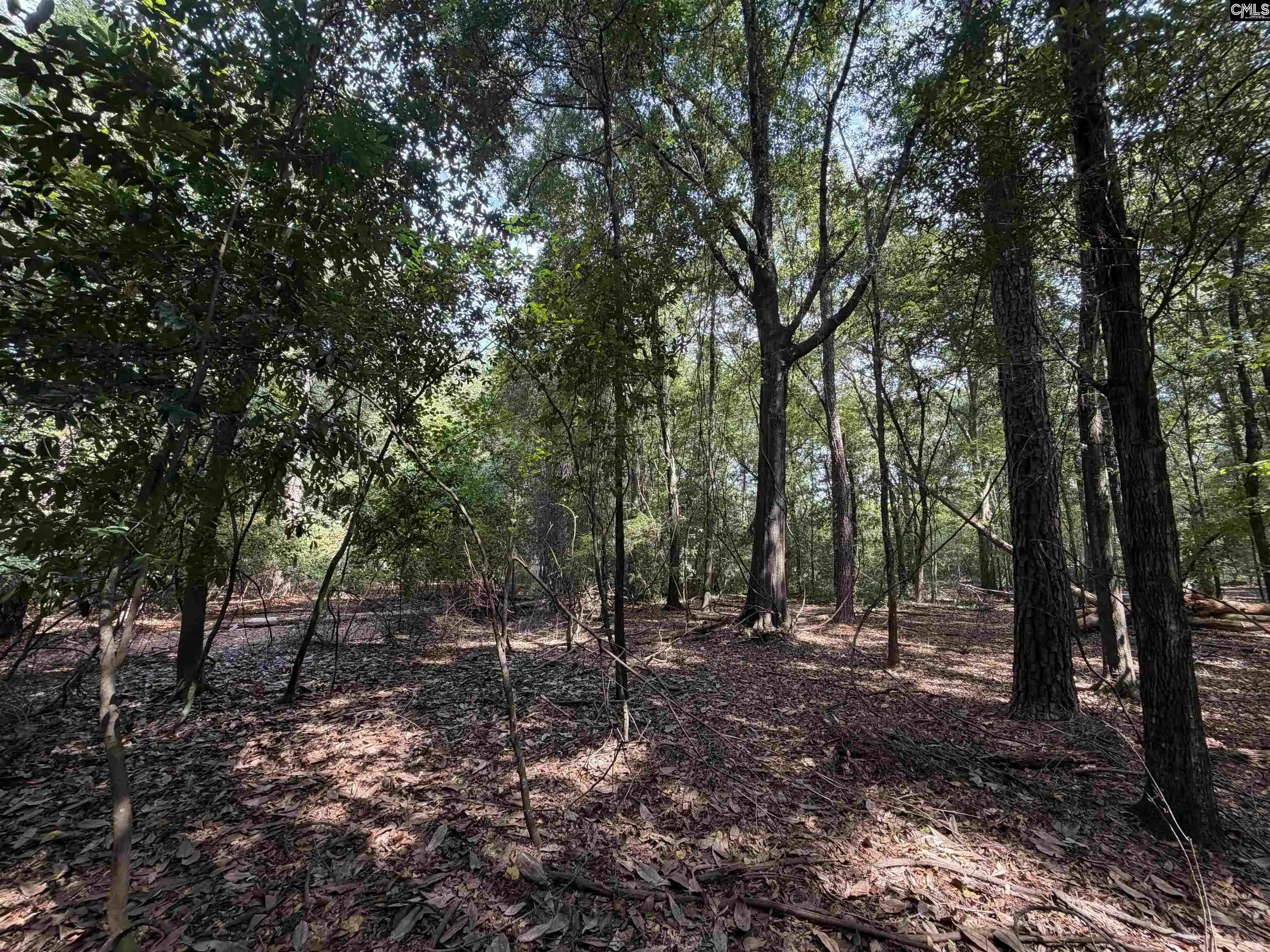 Photo 3 of Land for sale at 2361 Shedrick, Camden, SC 29020 | MLS# 641613 | Listing updated on 2026-08-26