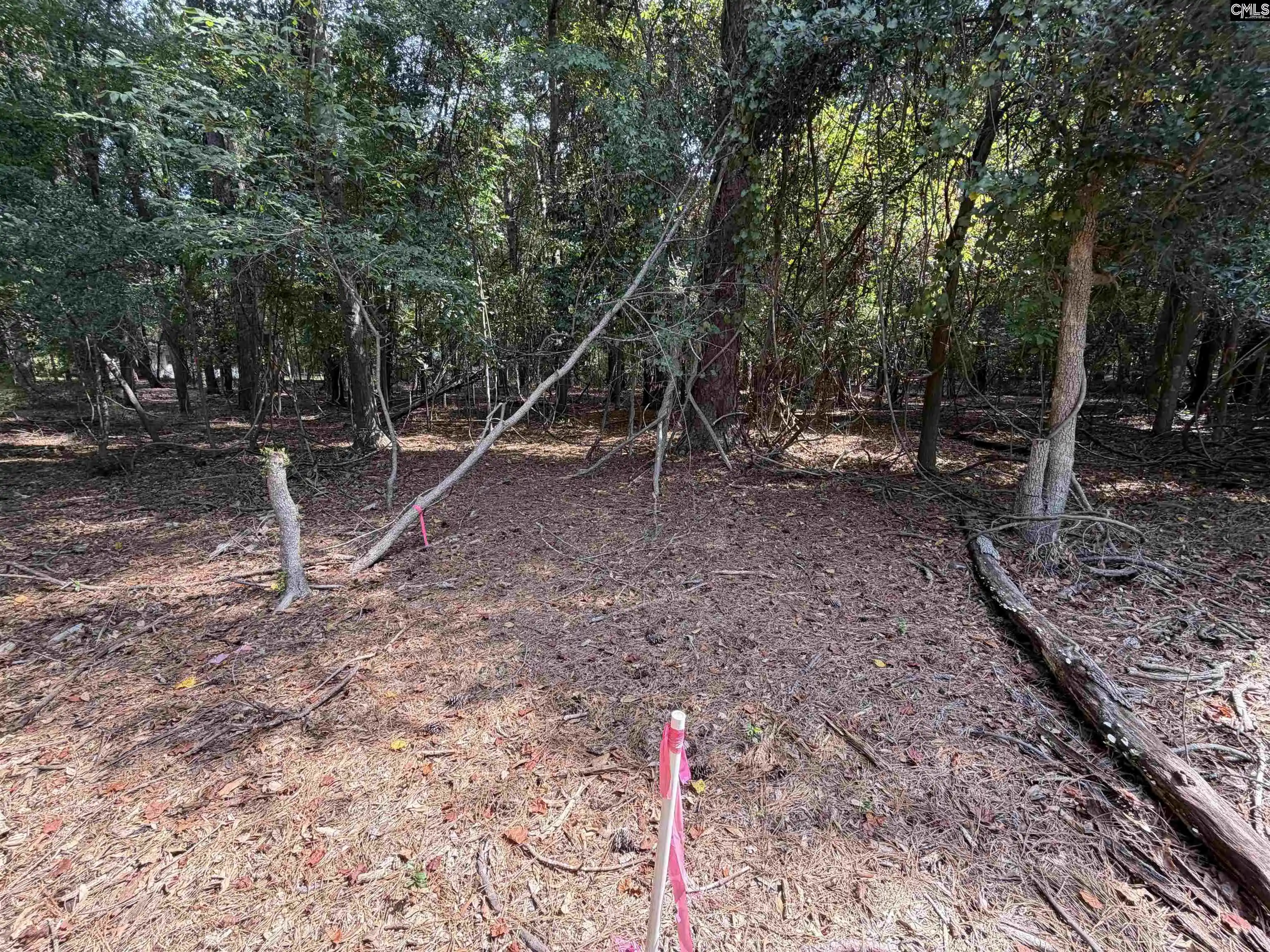 Photo 4 of Land for sale at 2361 Shedrick, Camden, SC 29020 | MLS# 641613 | Listing updated on 2026-08-26
