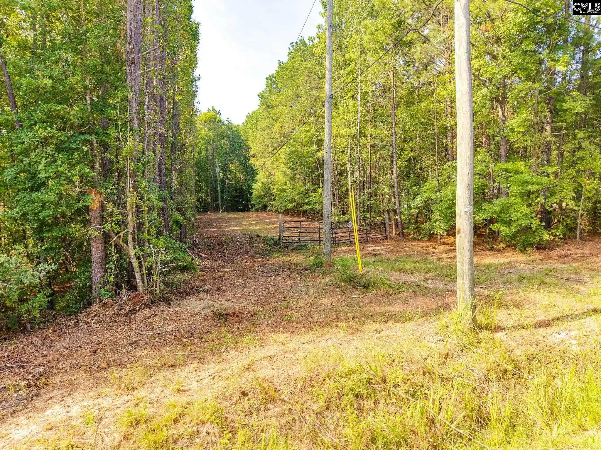 Photo 3 of Land for sale at 326 Cora, Columbia, SC 29203 | MLS# 641646 | Listing updated on 2026-08-31