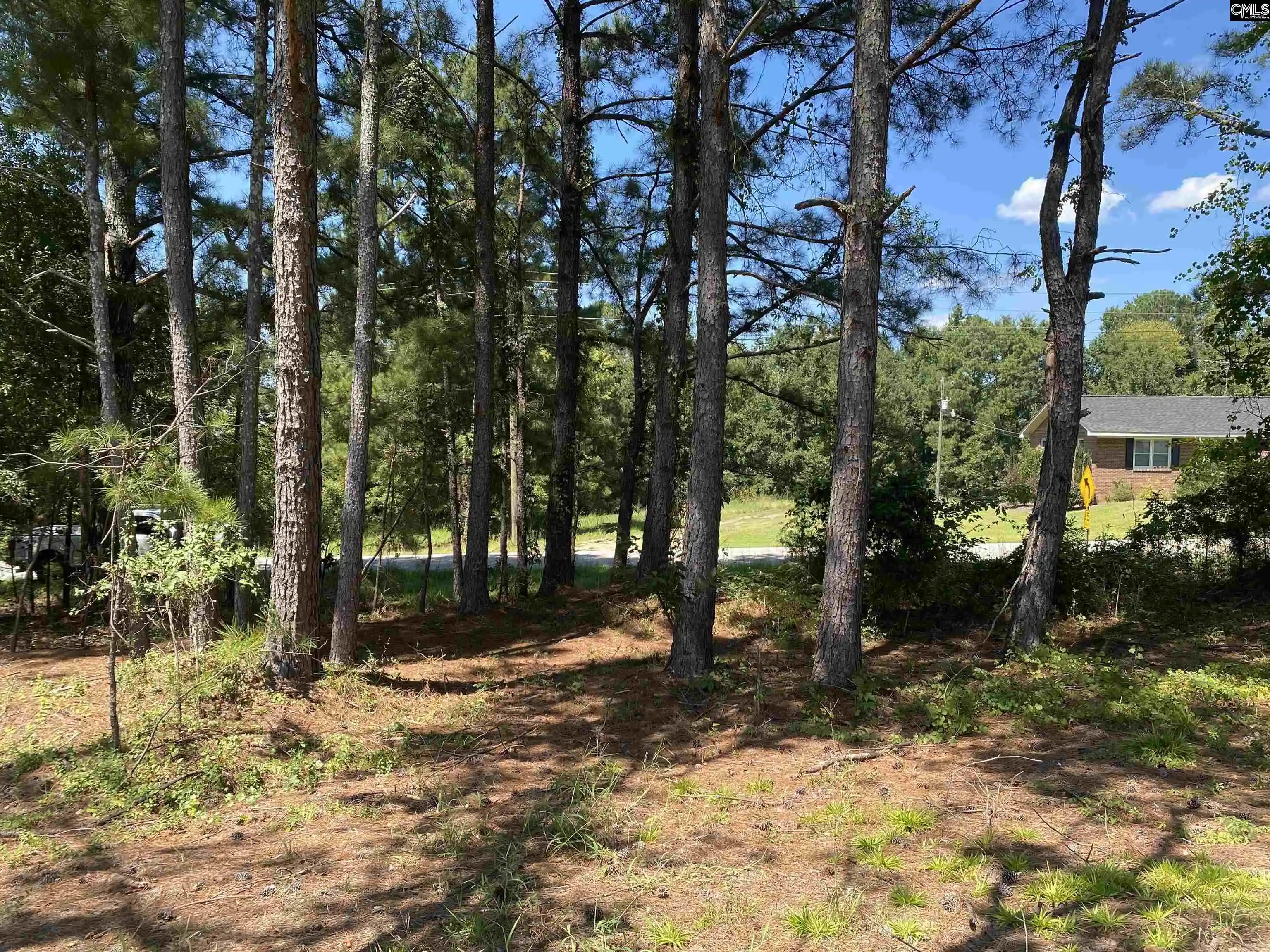 Photo 1 of Land for sale at 3734 B Stoney Hill, Prosperity, SC 29127 | MLS# 641681 | Listing updated on 2026-08-27