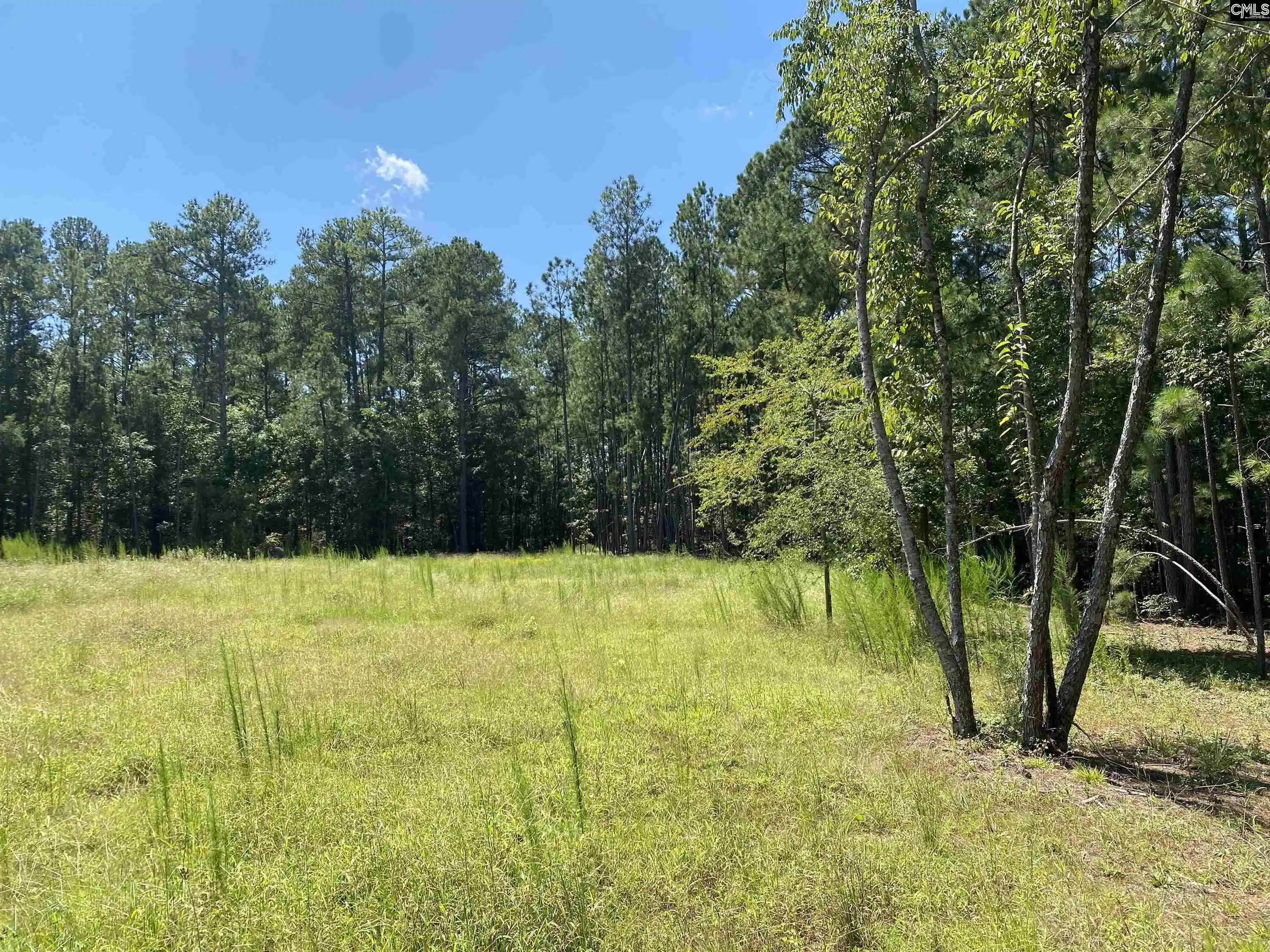 Photo 2 of Land for sale at 3734 B Stoney Hill, Prosperity, SC 29127 | MLS# 641681 | Listing updated on 2026-08-27