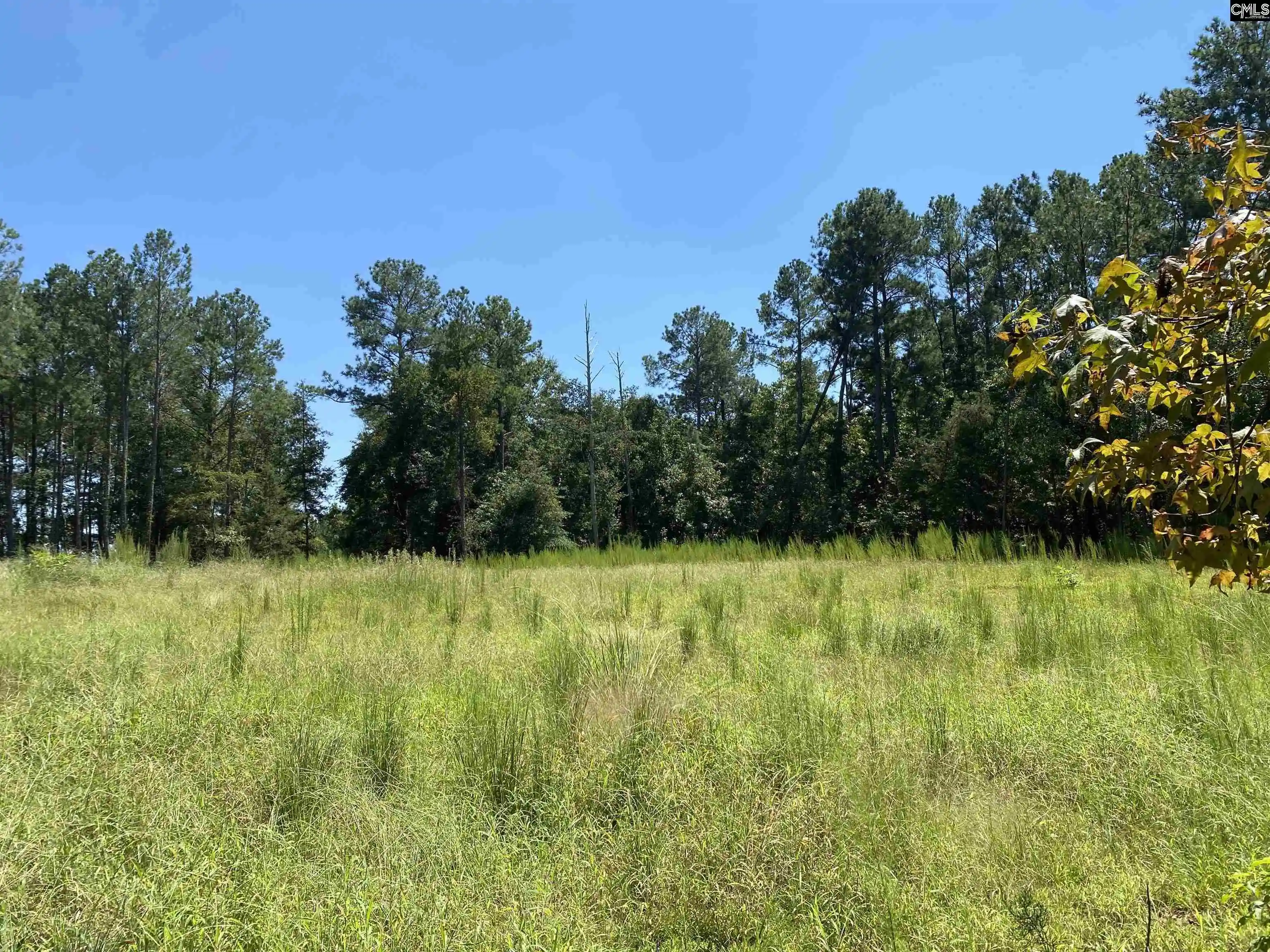 Photo 3 of Land for sale at 3734 B Stoney Hill, Prosperity, SC 29127 | MLS# 641681 | Listing updated on 2026-08-27