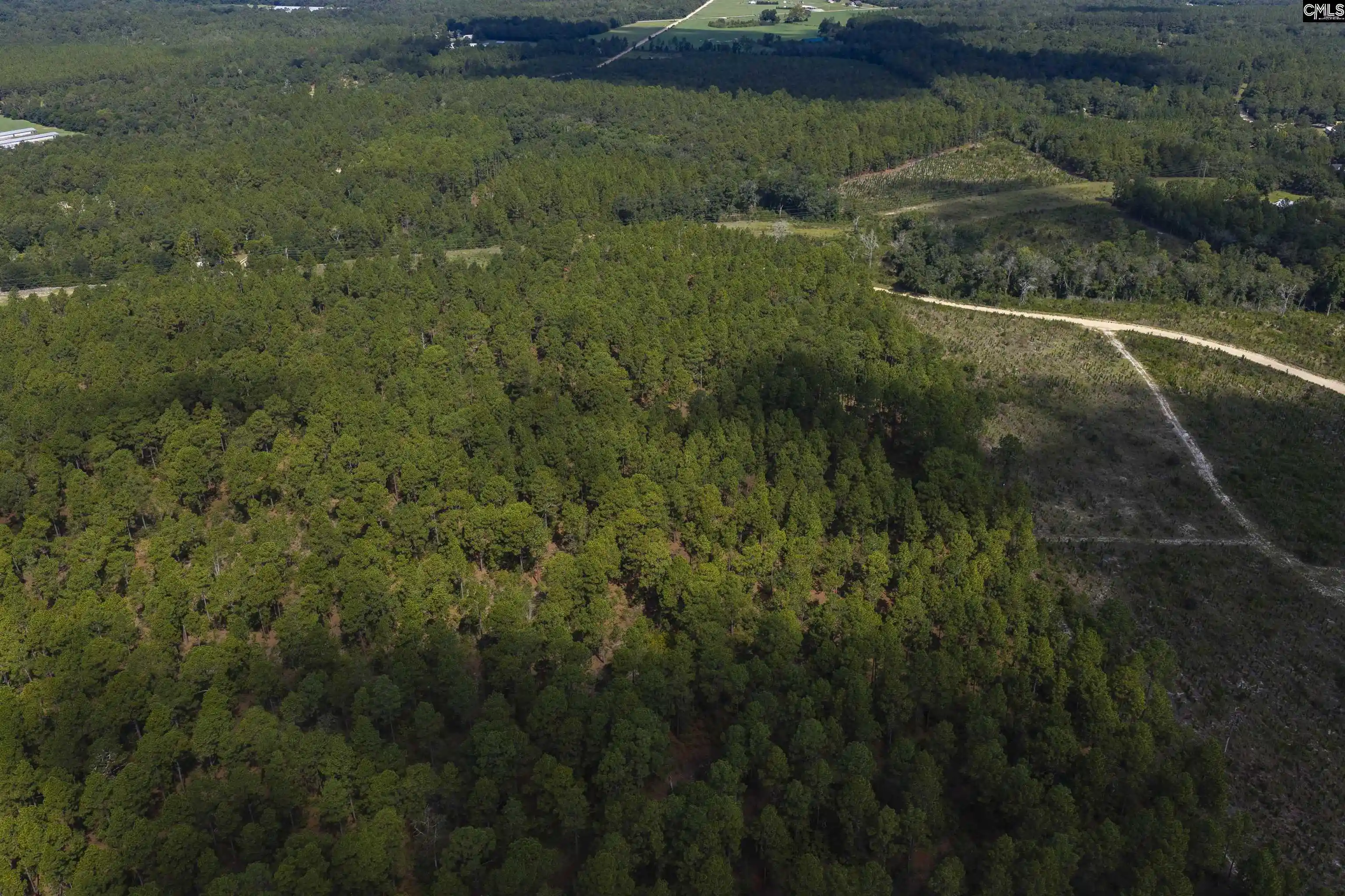 Photo 4 of Land for sale at Tbd Gantt Mill #Parcel 2, Leesville, SC 29070 | MLS# 641858 | Listing updated on 2026-09-03