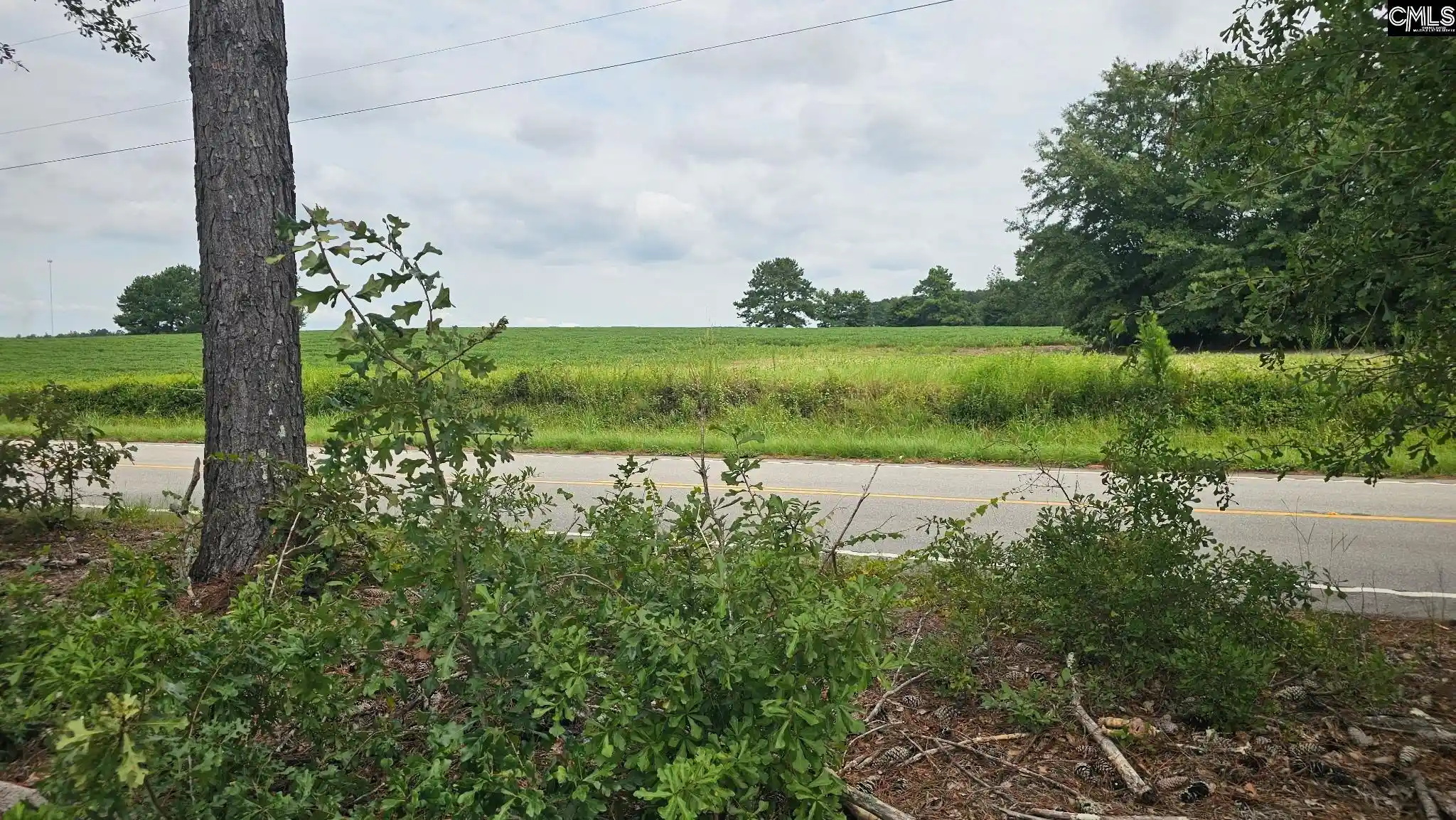 Photo 1 of Land for sale at Tbd Piper, Trenton, SC 29847 | MLS# 641874 | Listing updated on 2026-08-31