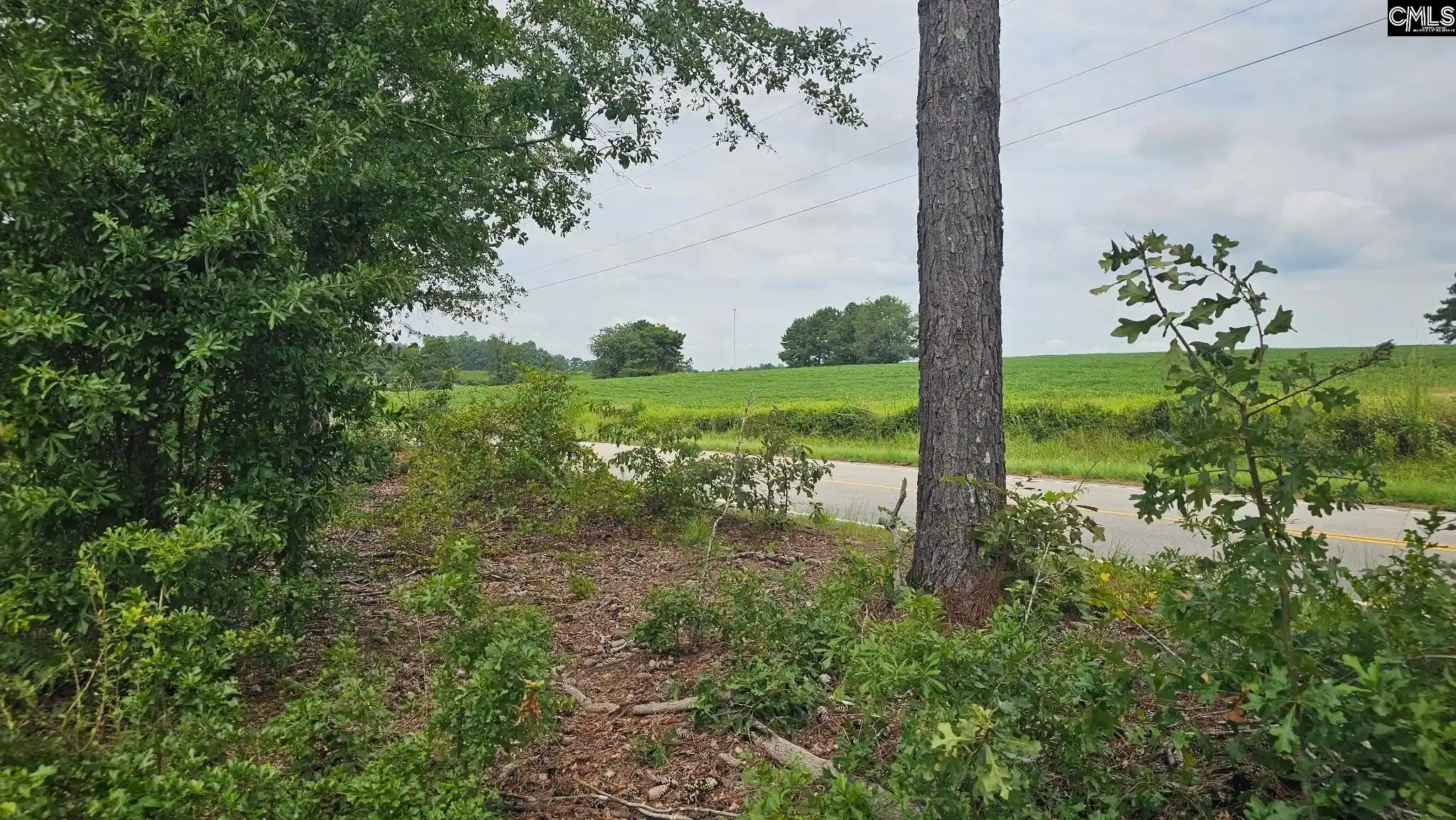 Photo 3 of Land for sale at Tbd Piper, Trenton, SC 29847 | MLS# 641874 | Listing updated on 2026-08-31