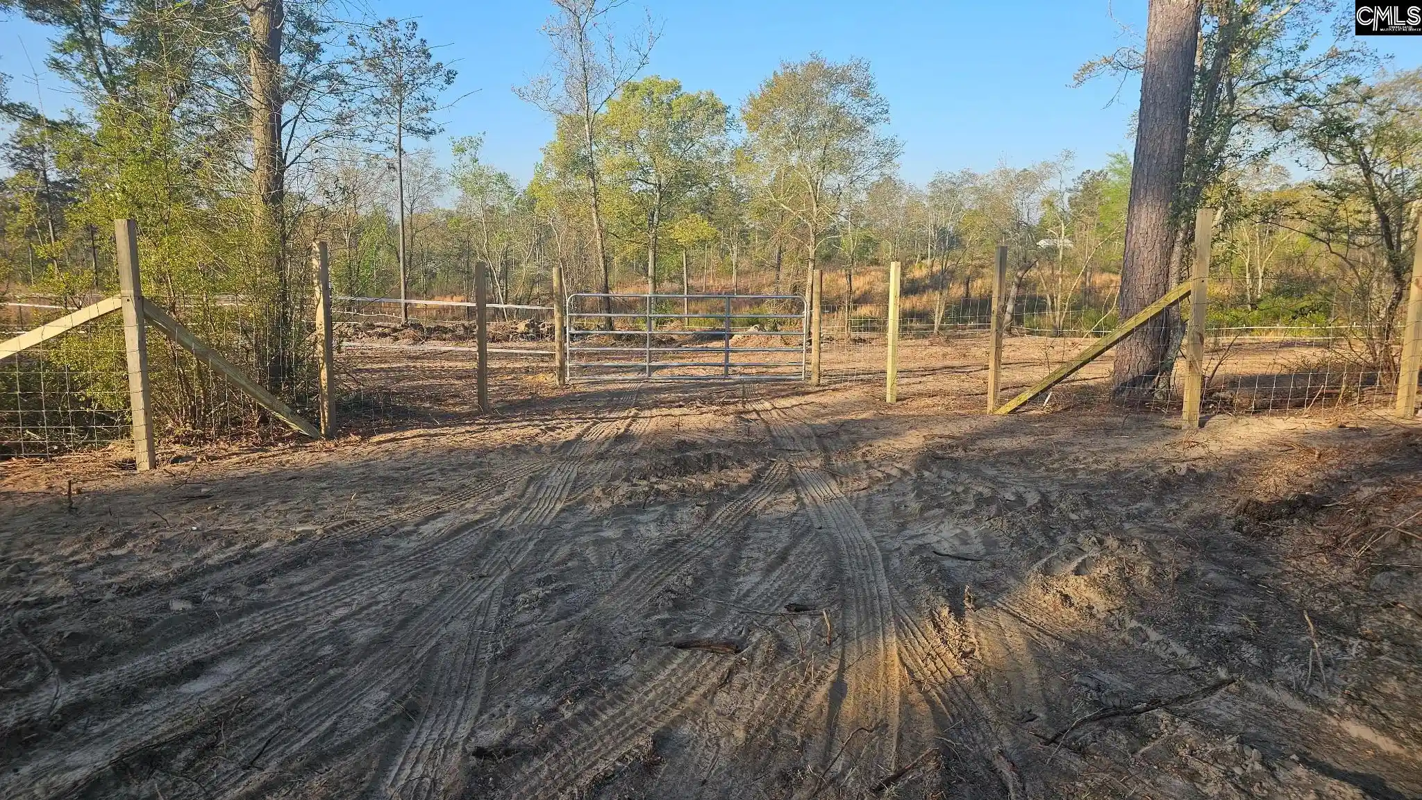 Photo 5 of Land for sale at Tbd Piper, Trenton, SC 29847 | MLS# 641874 | Listing updated on 2026-08-31