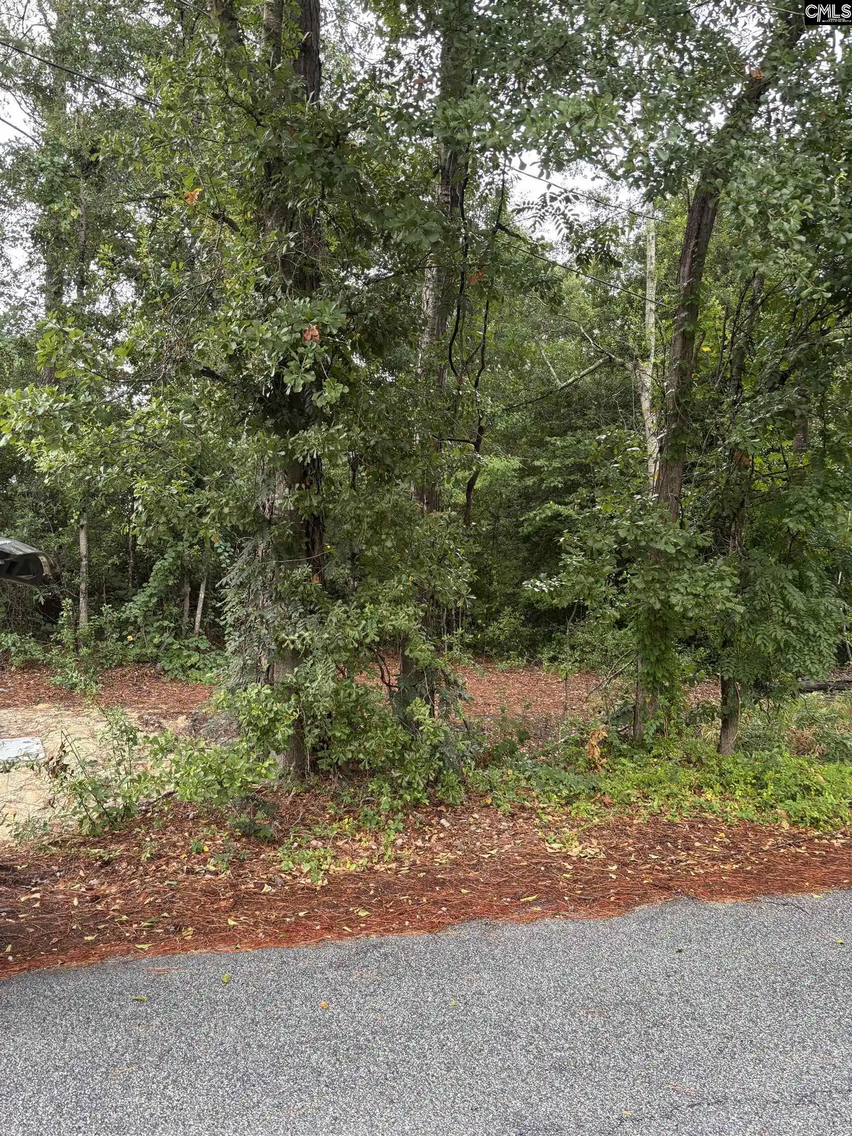 Photo 3 of Land for sale at 3318 Hollydale, West Columbia, SC 29170 | MLS# 641958 | Listing updated on 2026-08-30