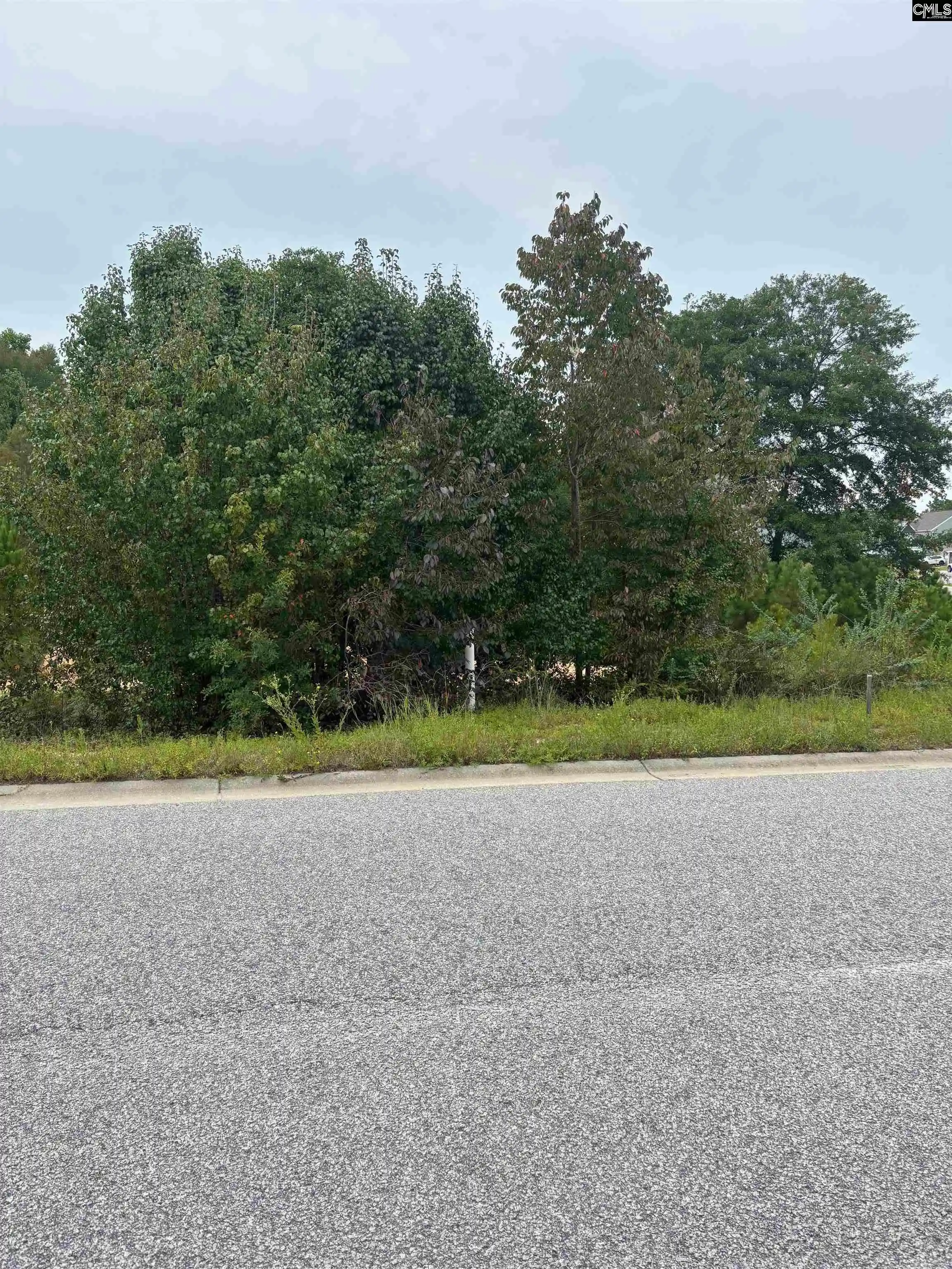 Photo 3 of Land for sale at 59 Edinburgh Castle, Camden, SC 29020 | MLS# 641962 | Listing updated on 2026-08-30