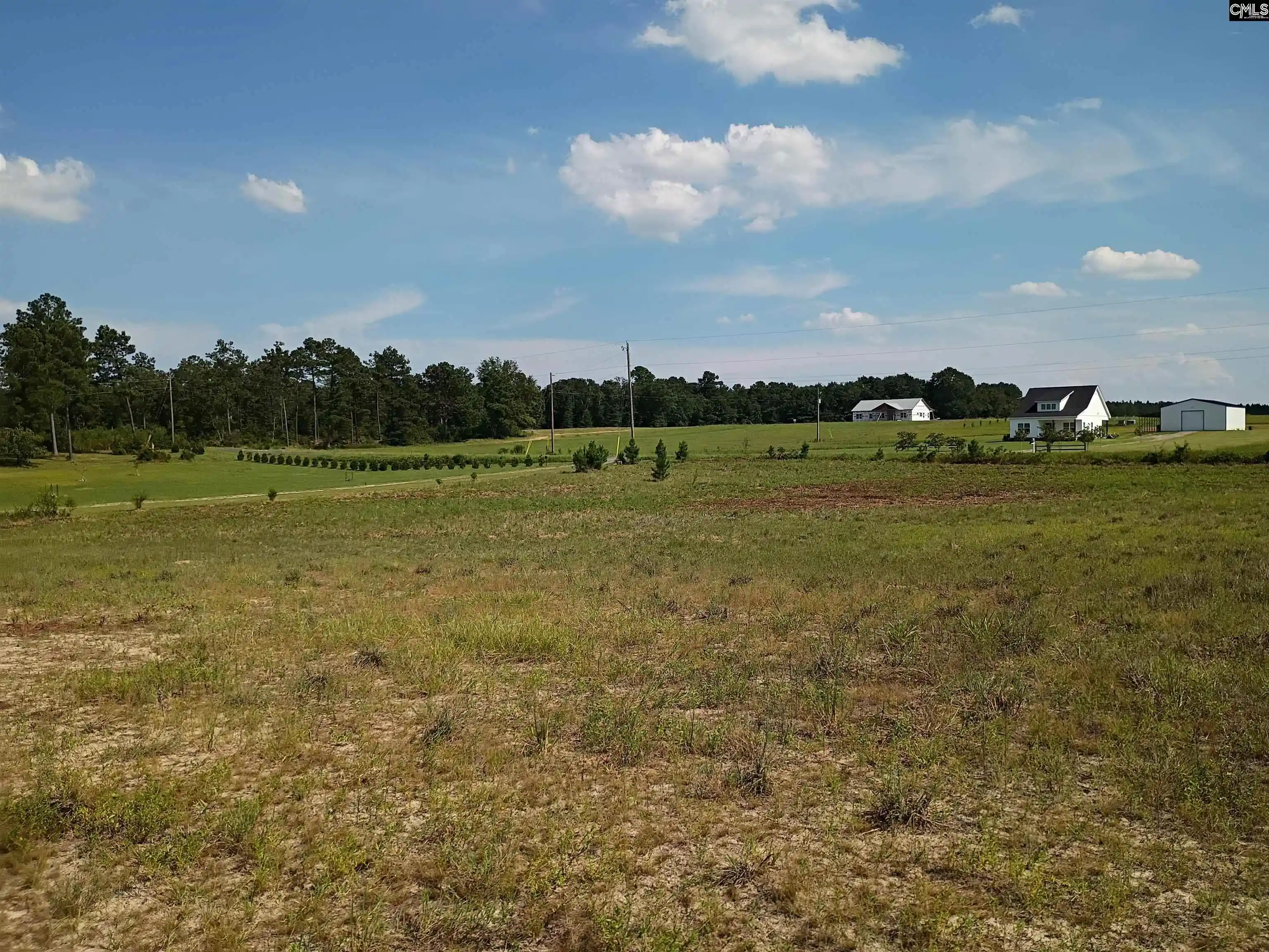 Photo 3 of Land for sale at 115 Mt Calvary, Trenton, SC 29847 | MLS# 641980 | Listing updated on 2026-08-31