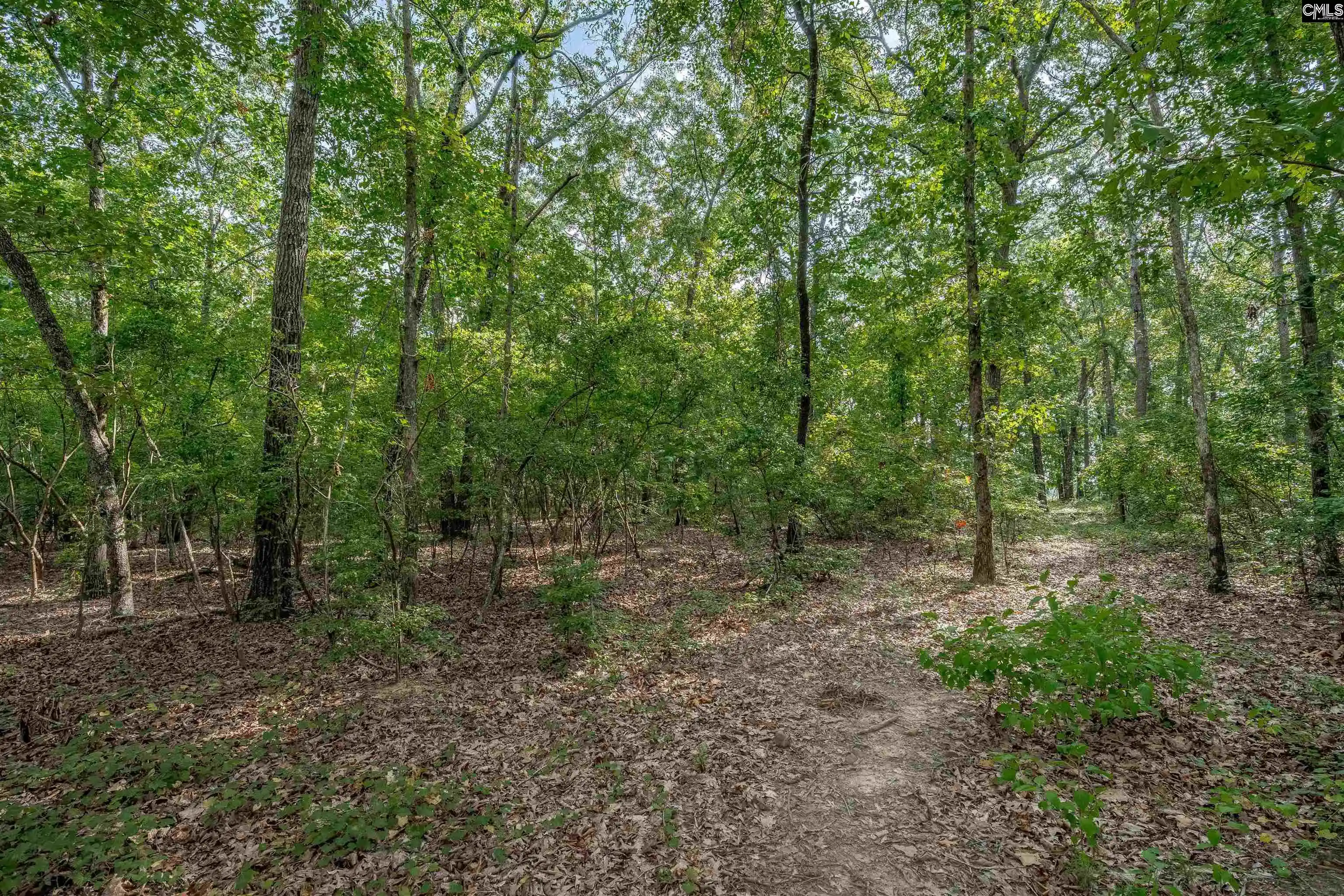 Photo 4 of Land for sale at 511 Swift Creek, Rembert, SC 29128 | MLS# 641983 | Listing updated on 2026-08-31