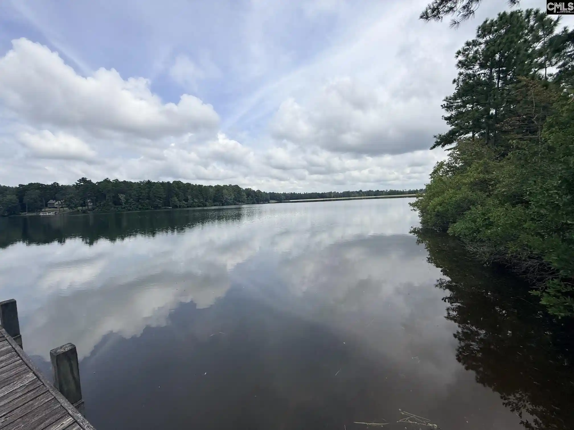 Photo 1 of Land for sale at 731 Edisto Lake, Wagener, SC 29164 | MLS# 641987 | Listing updated on 2026-09-04