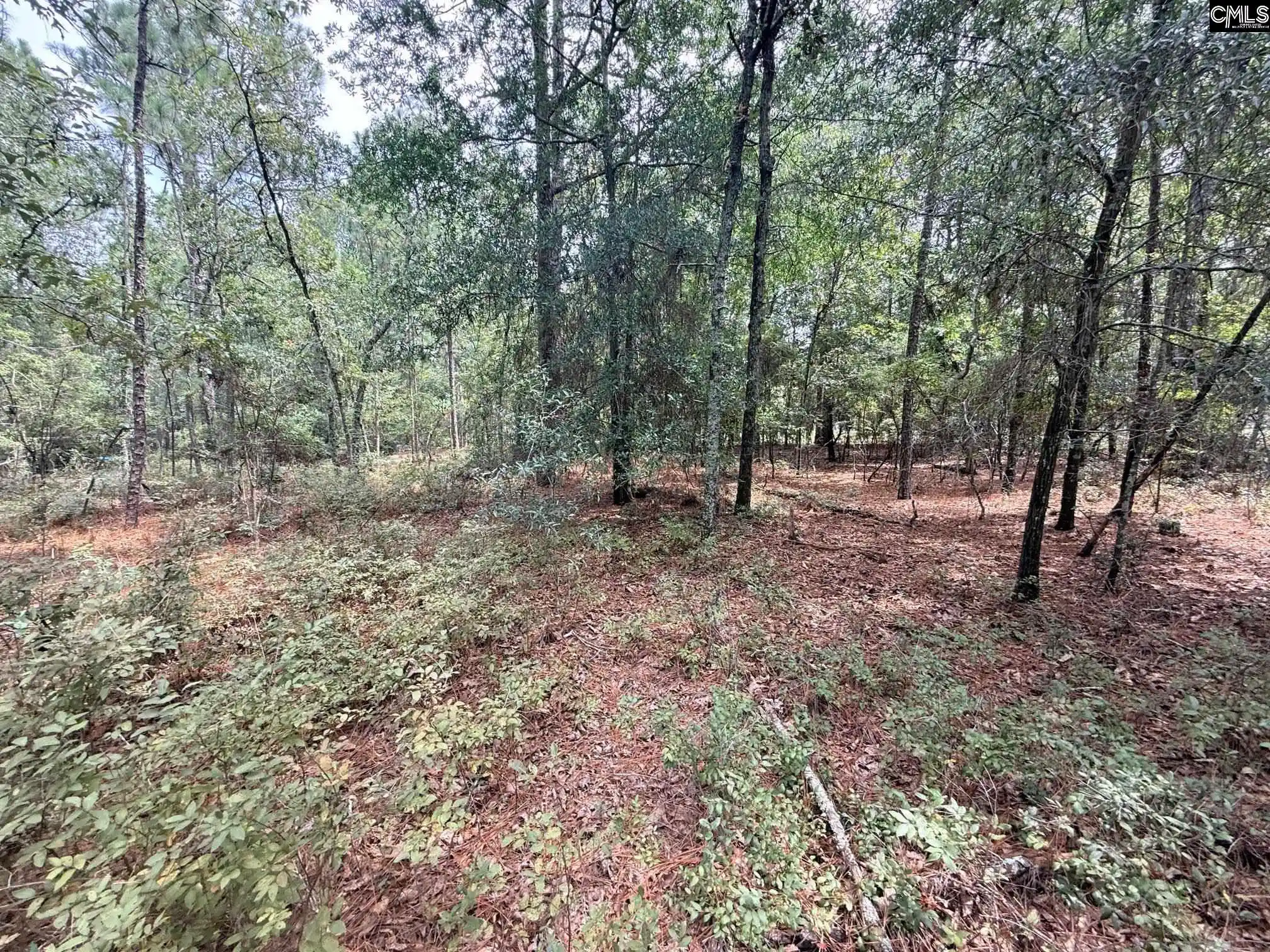 Photo 2 of Land for sale at 731 Edisto Lake, Wagener, SC 29164 | MLS# 641987 | Listing updated on 2026-09-04