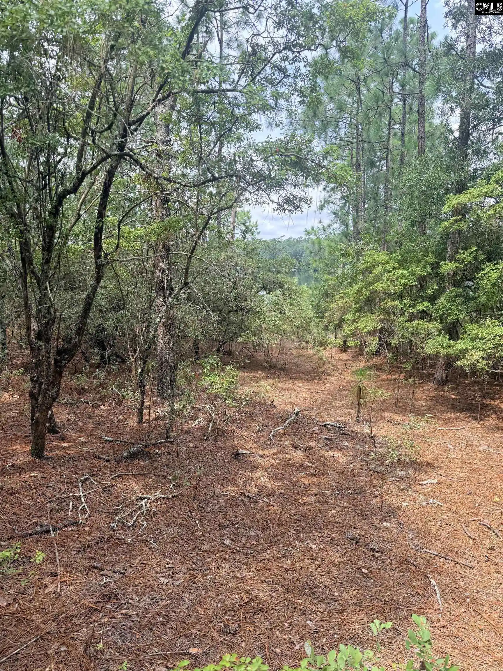 Photo 3 of Land for sale at 731 Edisto Lake, Wagener, SC 29164 | MLS# 641987 | Listing updated on 2026-09-04