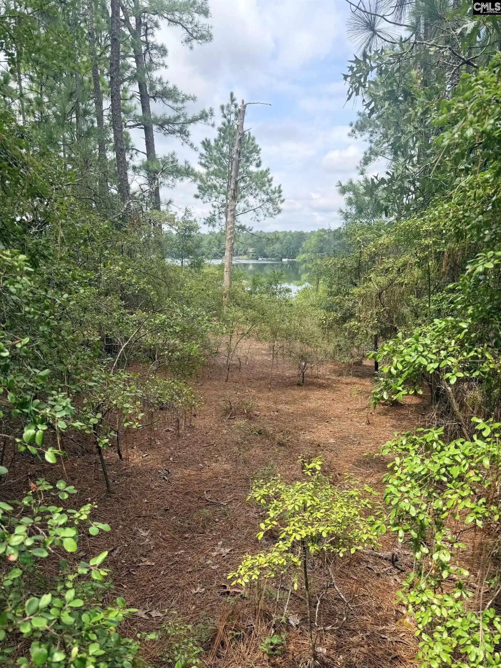 Photo 4 of Land for sale at 731 Edisto Lake, Wagener, SC 29164 | MLS# 641987 | Listing updated on 2026-09-04