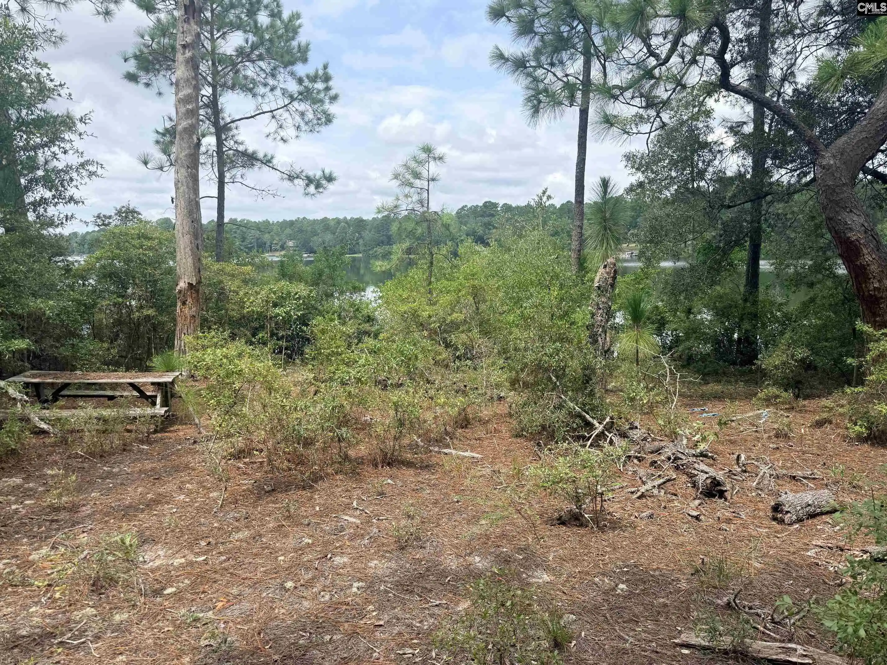 Photo 5 of Land for sale at 731 Edisto Lake, Wagener, SC 29164 | MLS# 641987 | Listing updated on 2026-09-04