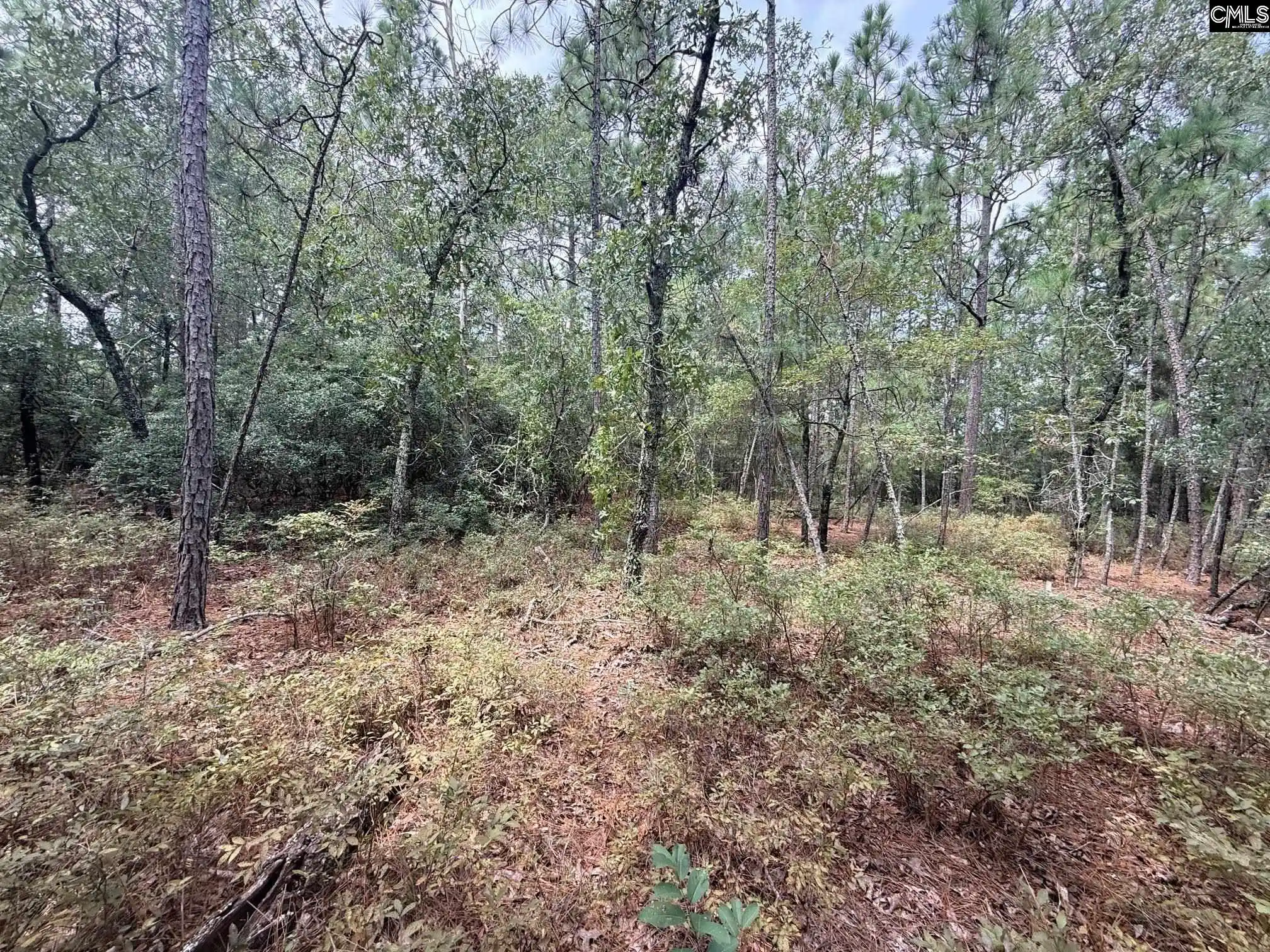 Photo 29 of Land for sale at 731 Edisto Lake, Wagener, SC 29164 | MLS# 641987 | Listing updated on 2026-09-04