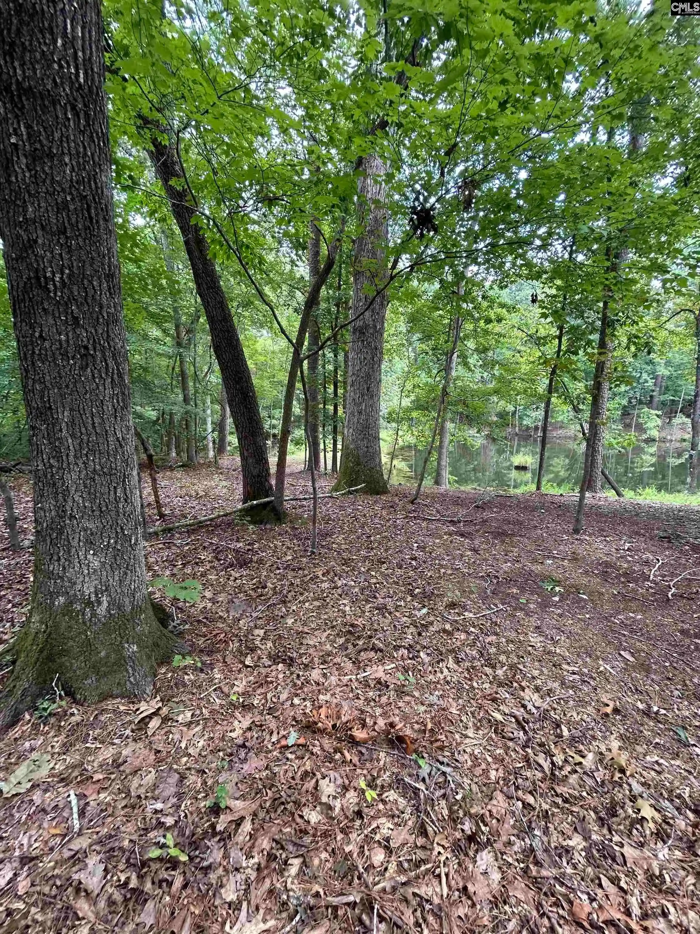Photo 1 of Land for sale at 0 Pinewood, Chapin, SC 29036 | MLS# 641990 | Listing updated on 2026-08-31