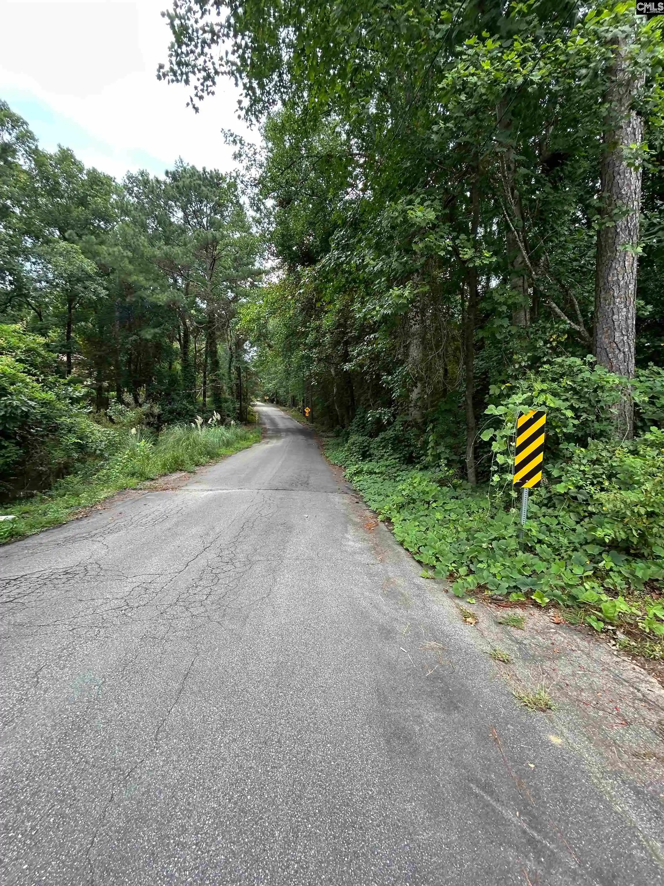 Photo 2 of Land for sale at 0 Pinewood, Chapin, SC 29036 | MLS# 641990 | Listing updated on 2026-08-31