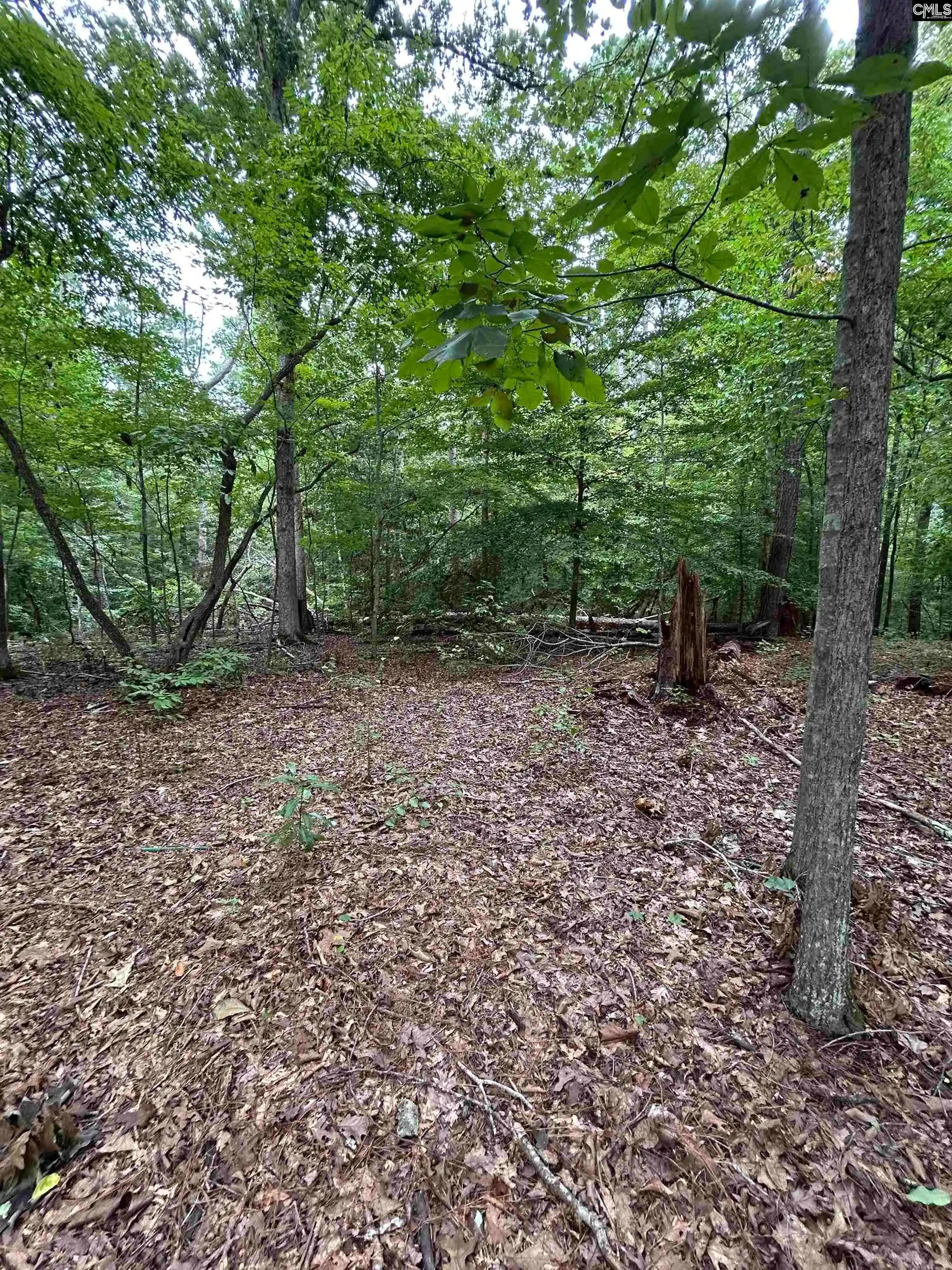 Photo 3 of Land for sale at 0 Pinewood, Chapin, SC 29036 | MLS# 641990 | Listing updated on 2026-08-31
