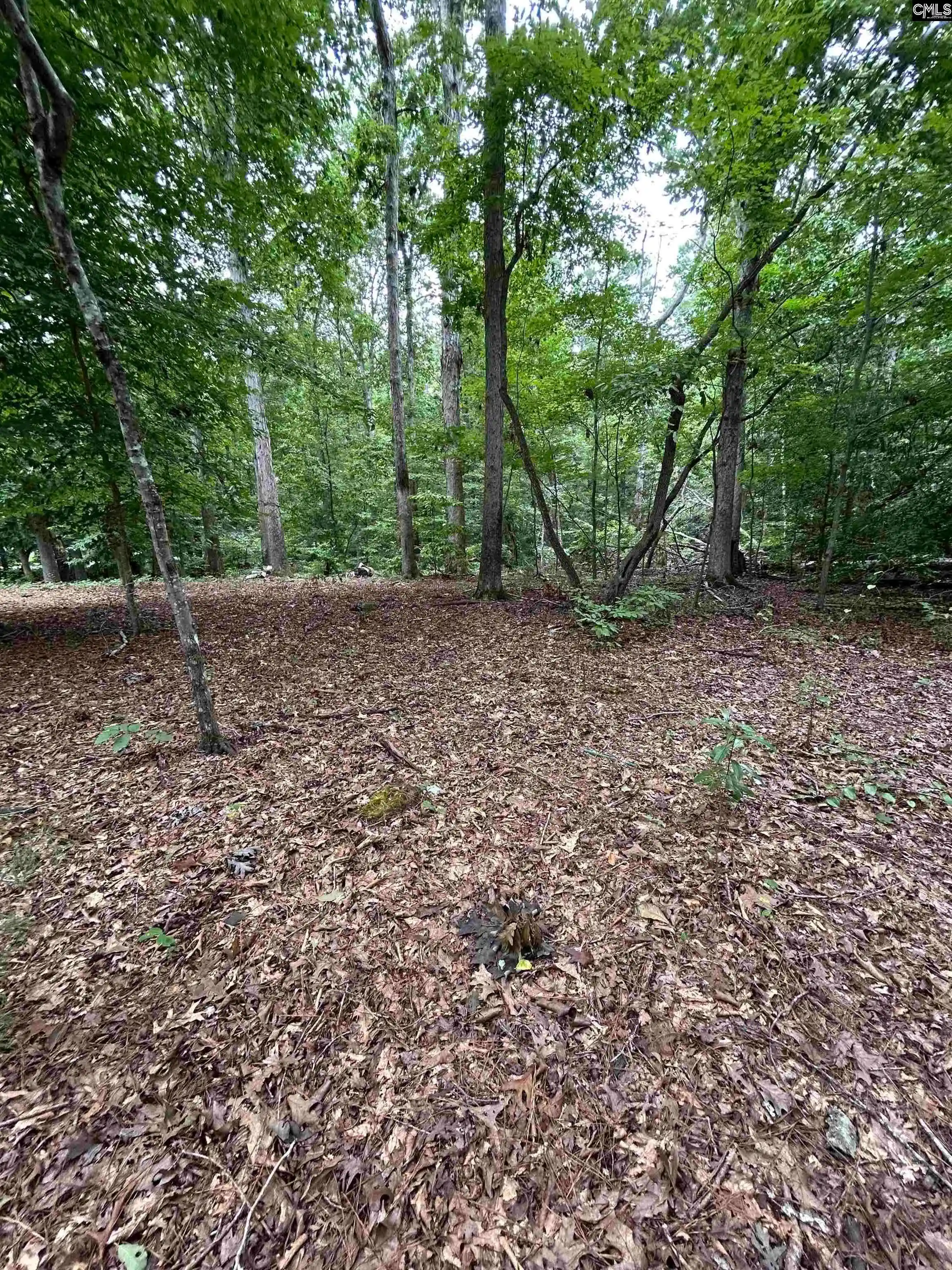 Photo 4 of Land for sale at 0 Pinewood, Chapin, SC 29036 | MLS# 641990 | Listing updated on 2026-08-31