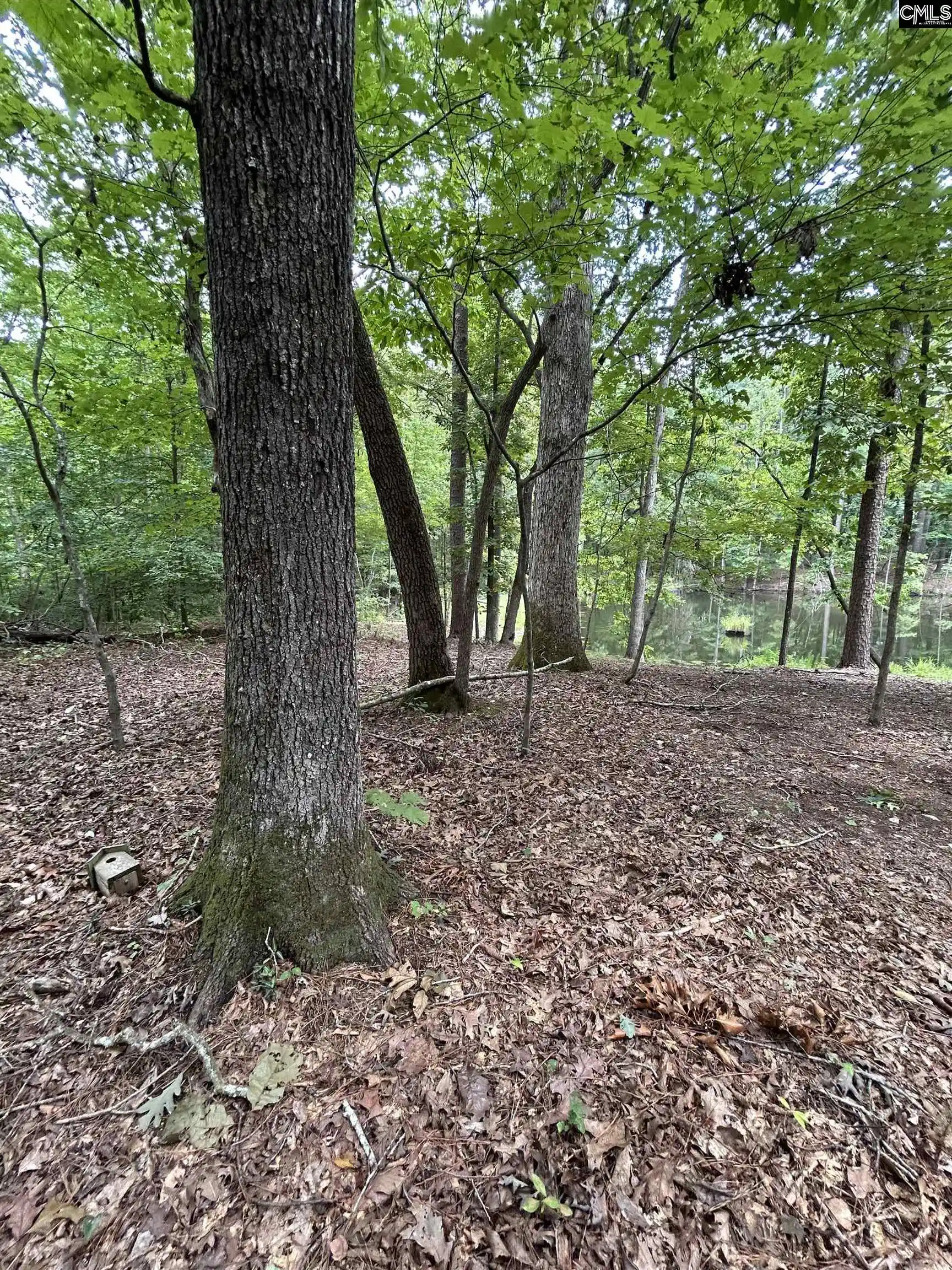 Photo 5 of Land for sale at 0 Pinewood, Chapin, SC 29036 | MLS# 641990 | Listing updated on 2026-08-31