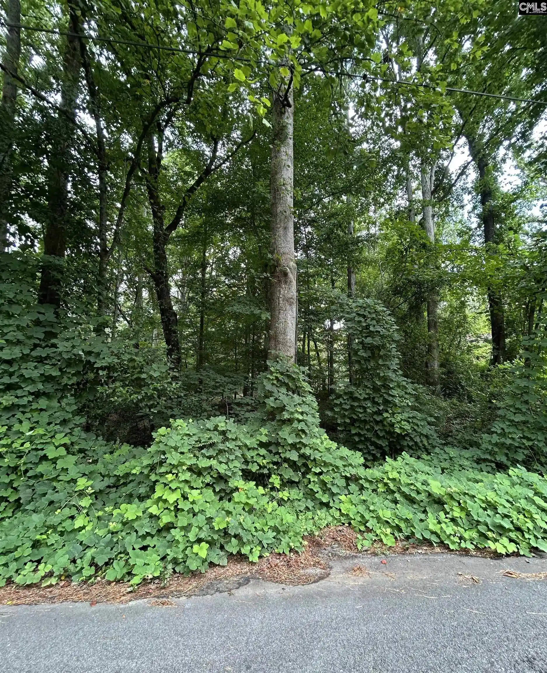 Photo 9 of Land for sale at 0 Pinewood, Chapin, SC 29036 | MLS# 641990 | Listing updated on 2026-08-31