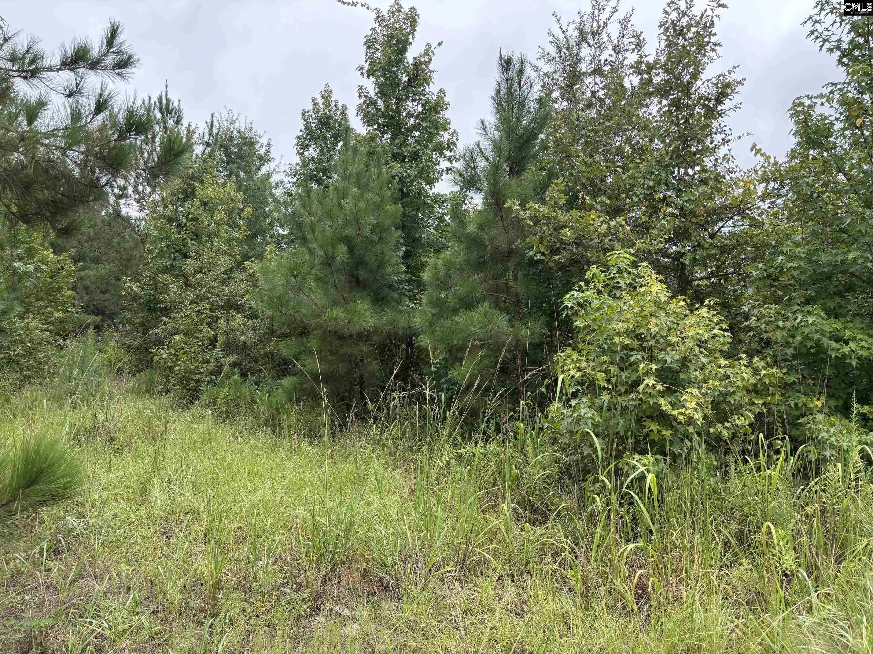 Photo 2 of Land for sale at 1008 Langford, Blythewood, SC 29016 | MLS# 642014 | Listing updated on 2026-09-01
