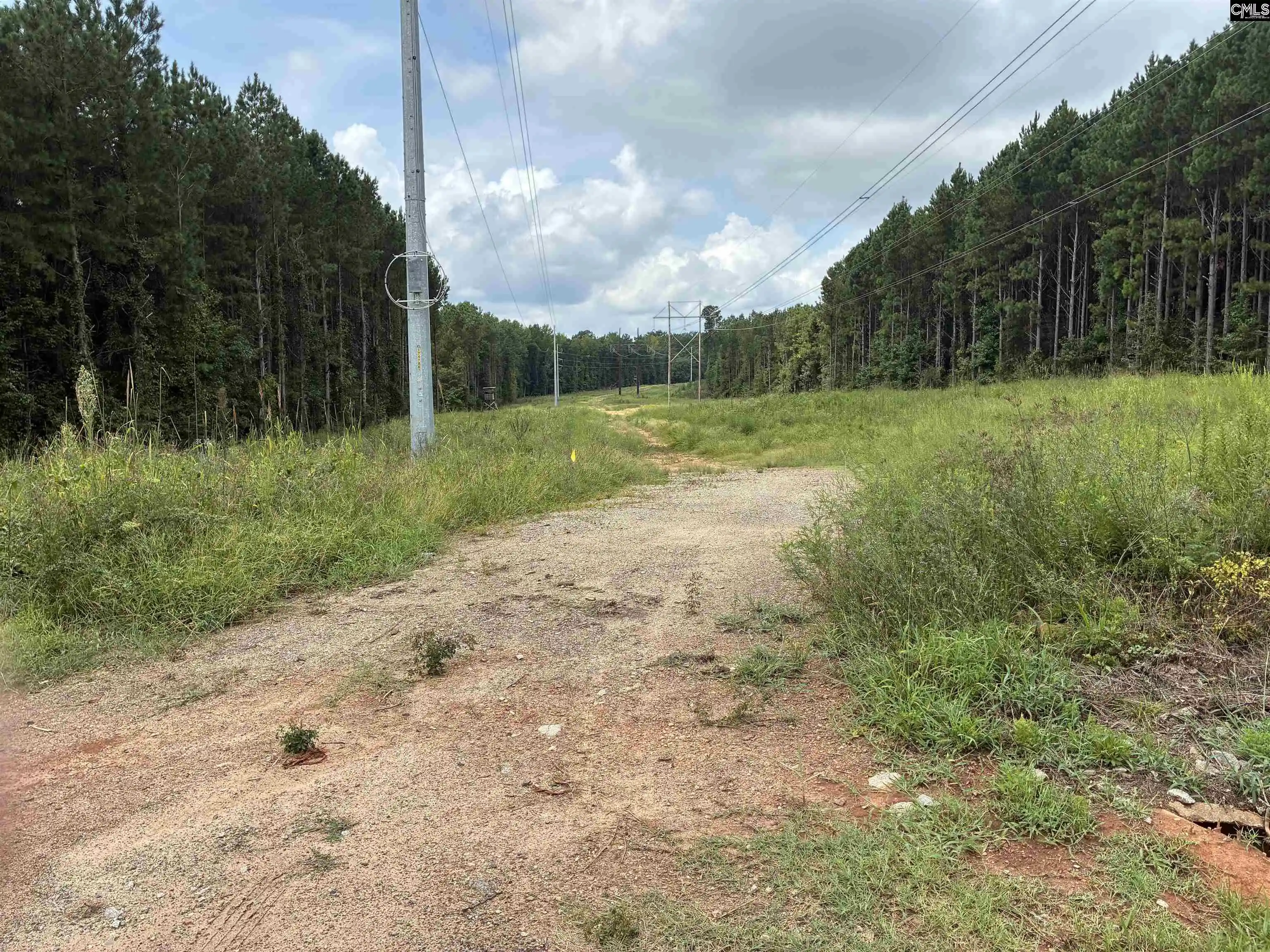 Photo 1 of Land for sale at Hwy 121 & 34, Silverstreet, SC 29108 | MLS# 642016 | Listing updated on 2026-09-03