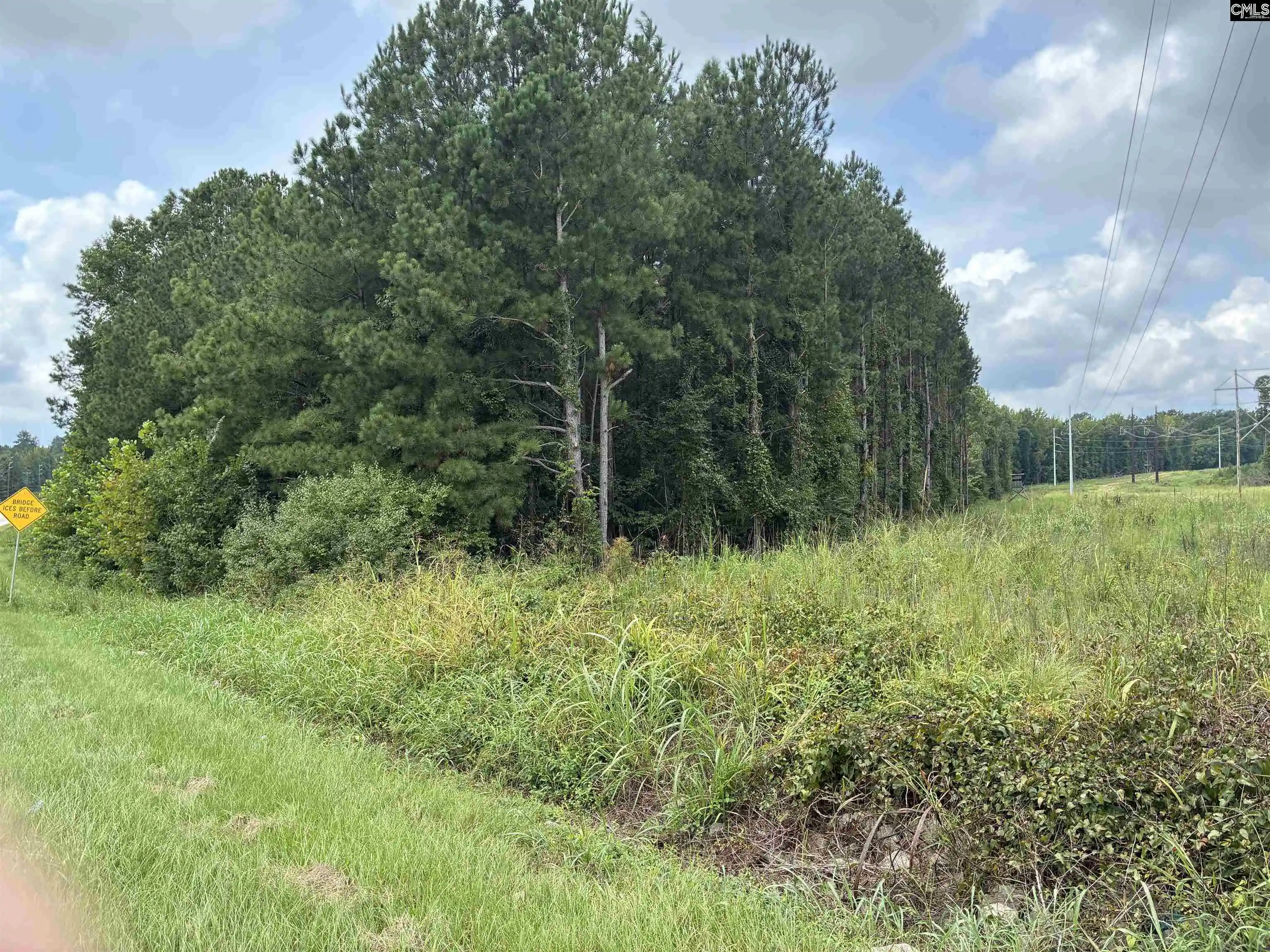 Photo 2 of Land for sale at Hwy 121 & 34, Silverstreet, SC 29108 | MLS# 642016 | Listing updated on 2026-09-03