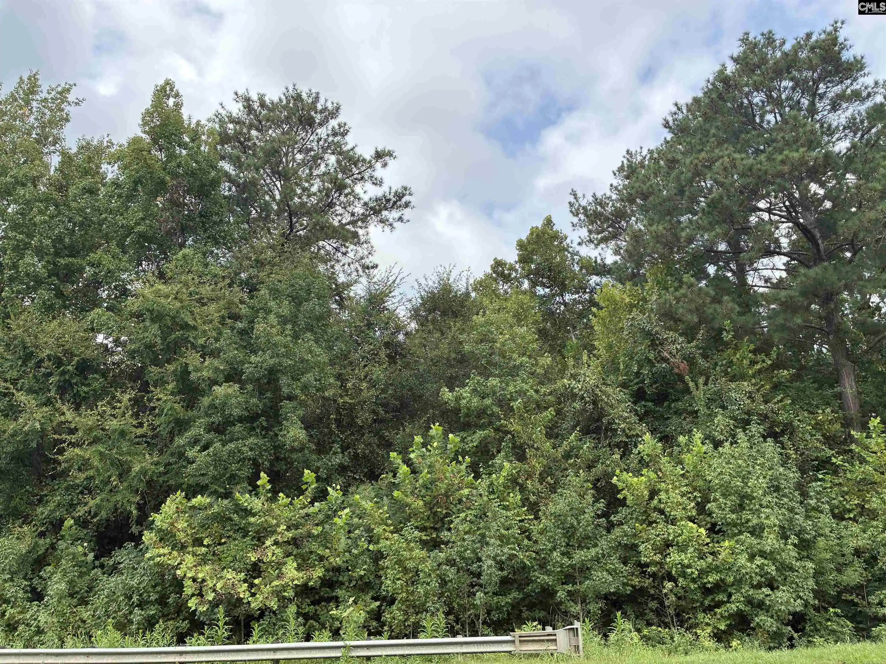 Photo 4 of Land for sale at Hwy 121 & 34, Silverstreet, SC 29108 | MLS# 642016 | Listing updated on 2026-09-03