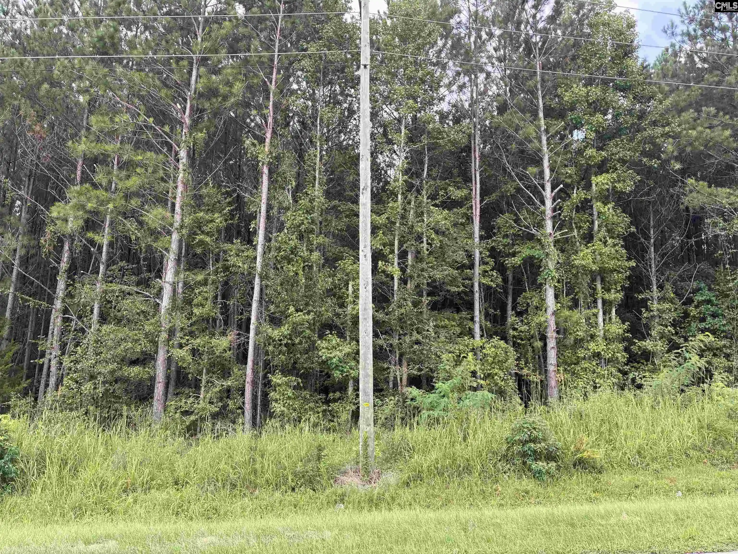 Photo 5 of Land for sale at Hwy 121 & 34, Silverstreet, SC 29108 | MLS# 642016 | Listing updated on 2026-09-03