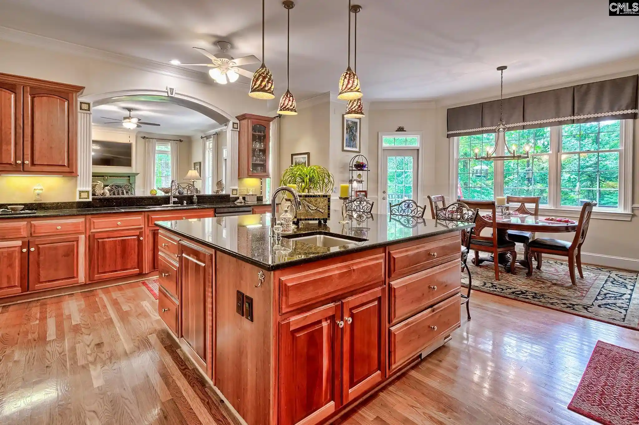 Photo 57 of Single family home for sale at 101 Laurent, Irmo, SC 29063 | MLS# 642078 | Listing updated on 2026-09-04