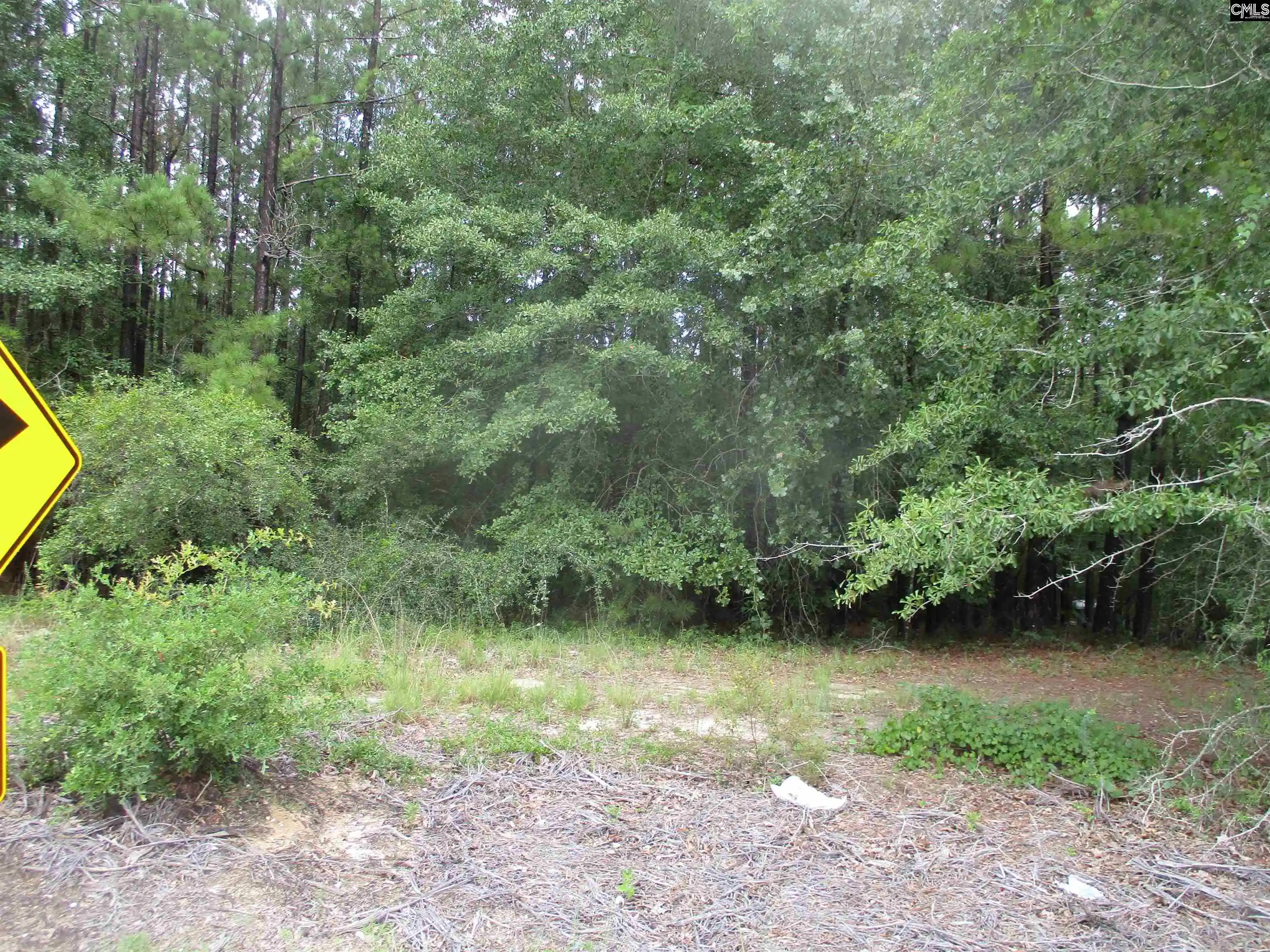 Photo 1 of Land for sale at 270 Clearwater, Camden, SC 29020 | MLS# 642131 | Listing updated on 2026-09-01