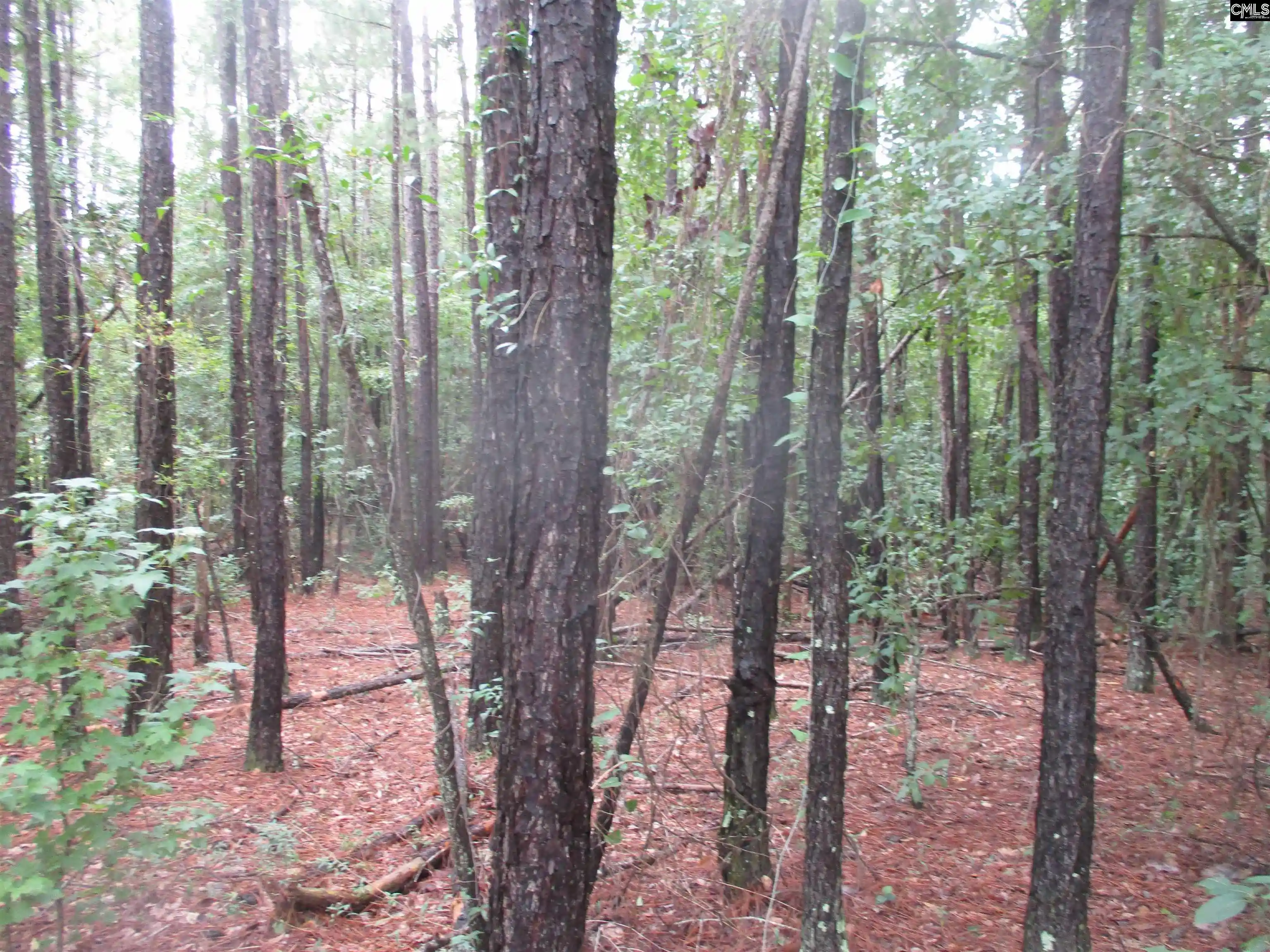 Photo 2 of Land for sale at 270 Clearwater, Camden, SC 29020 | MLS# 642131 | Listing updated on 2026-09-01
