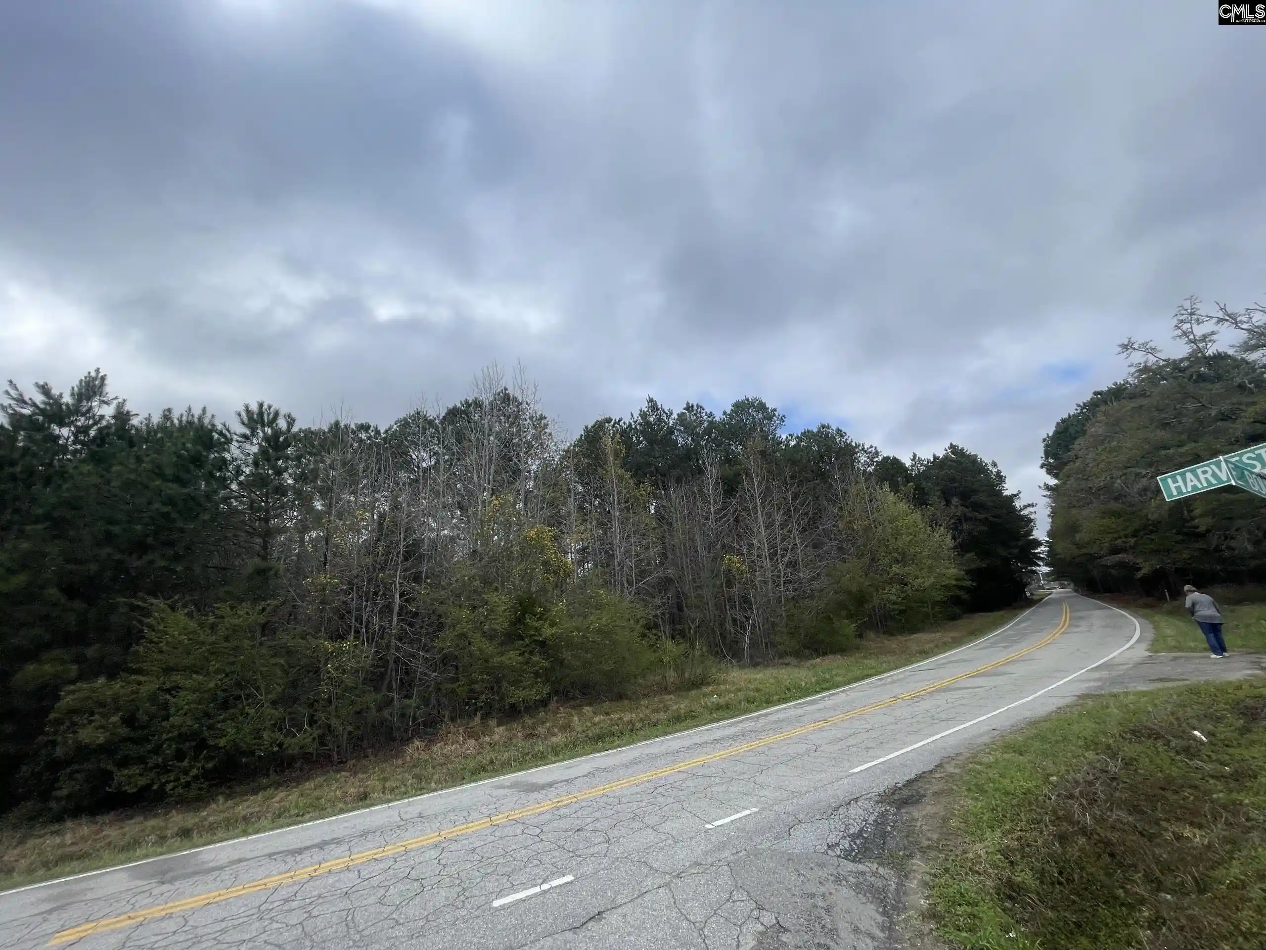 Photo 1 of Land for sale at 000 E Boundary, Chapin, SC 29036 | MLS# 642138 | Listing updated on 2026-09-01