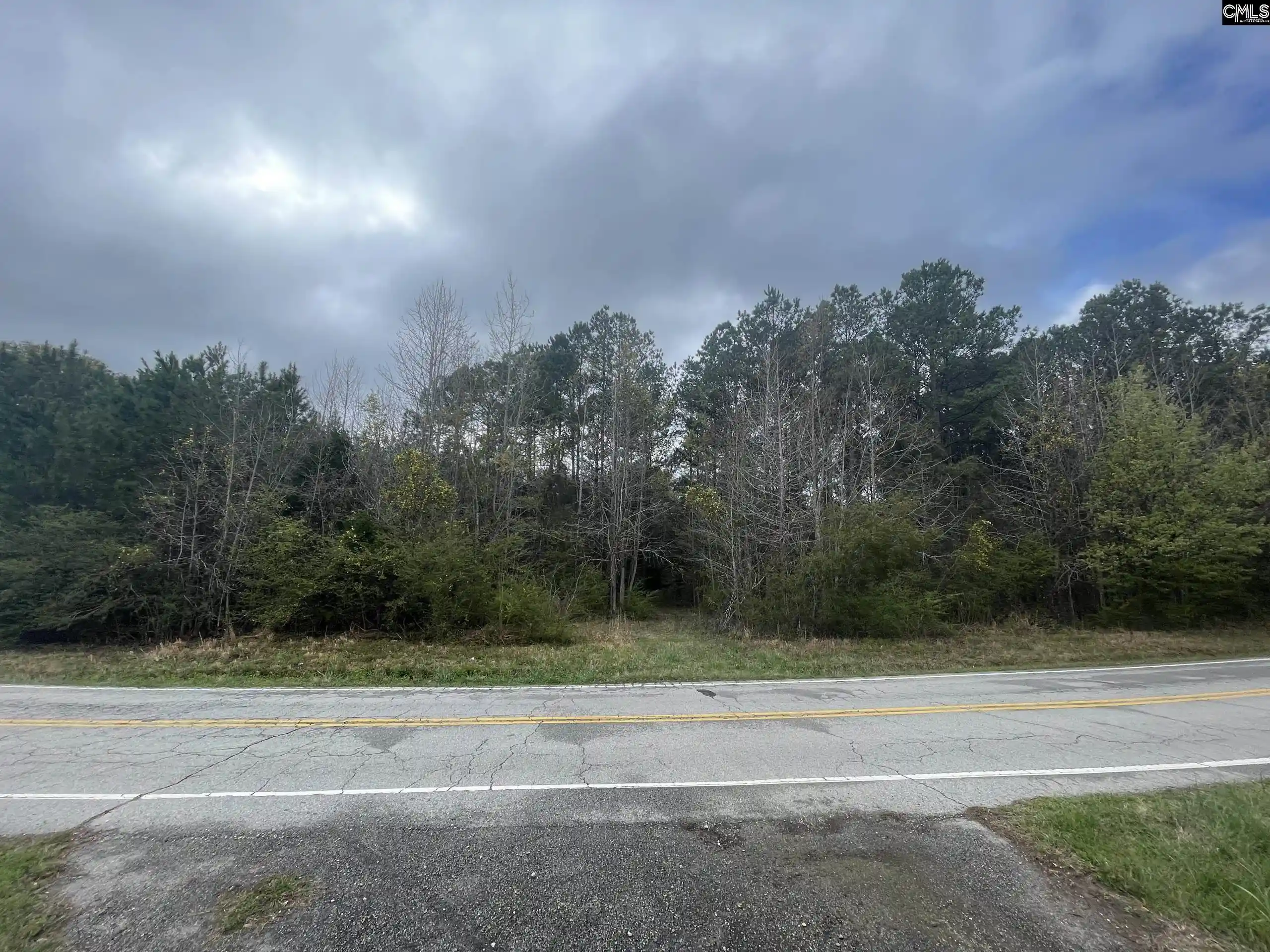 Photo 2 of Land for sale at 000 E Boundary, Chapin, SC 29036 | MLS# 642138 | Listing updated on 2026-09-01