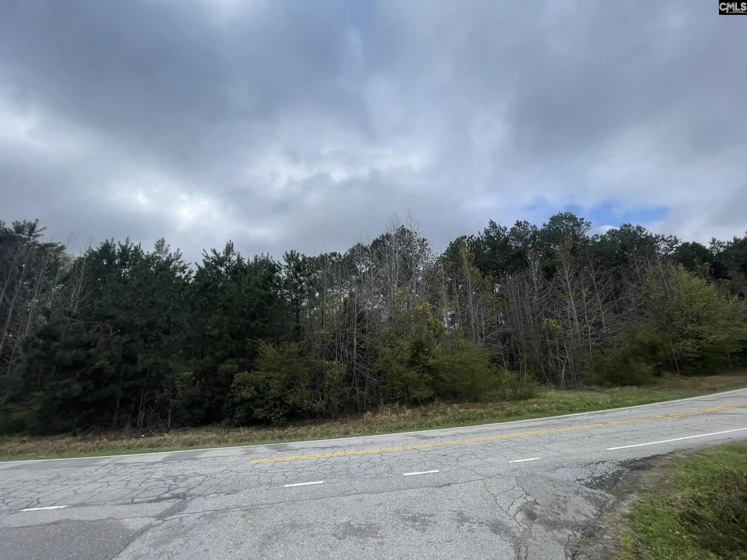 Photo 3 of Land for sale at 000 E Boundary, Chapin, SC 29036 | MLS# 642138 | Listing updated on 2026-09-01