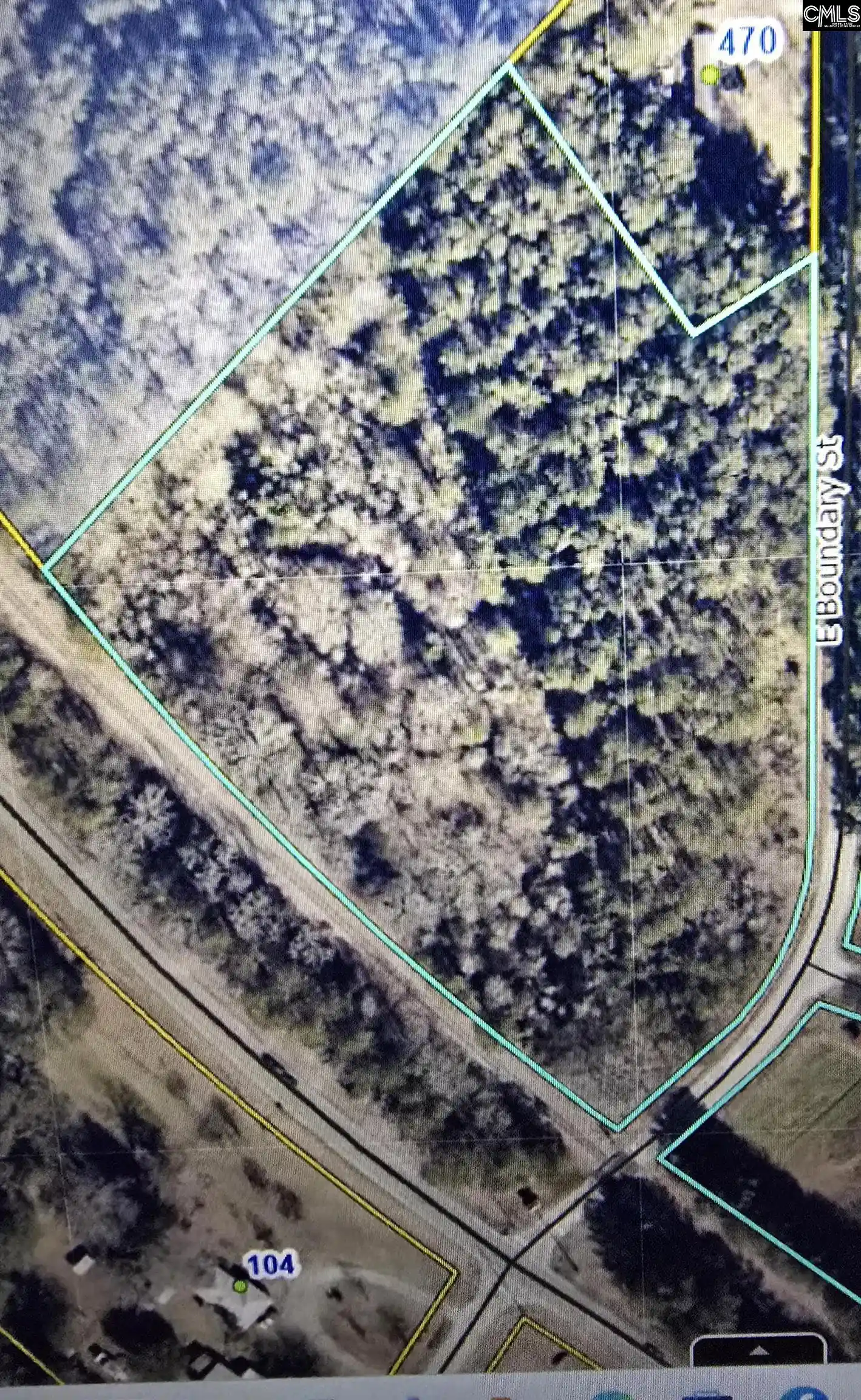Photo 3 of Land for sale at 000 E Boundary, Chapin, SC 29036 | MLS# 642138 | Listing updated on 2026-09-01