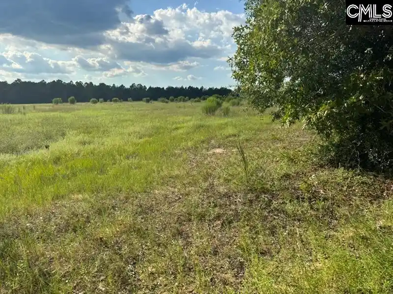 Photo 2 of Land for sale at 0 Mary Rawls, Wagener, SC 29164 | MLS# 642172 | Listing updated on 2026-09-03