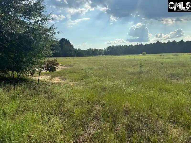 Photo 3 of Land for sale at 0 Mary Rawls, Wagener, SC 29164 | MLS# 642172 | Listing updated on 2026-09-03