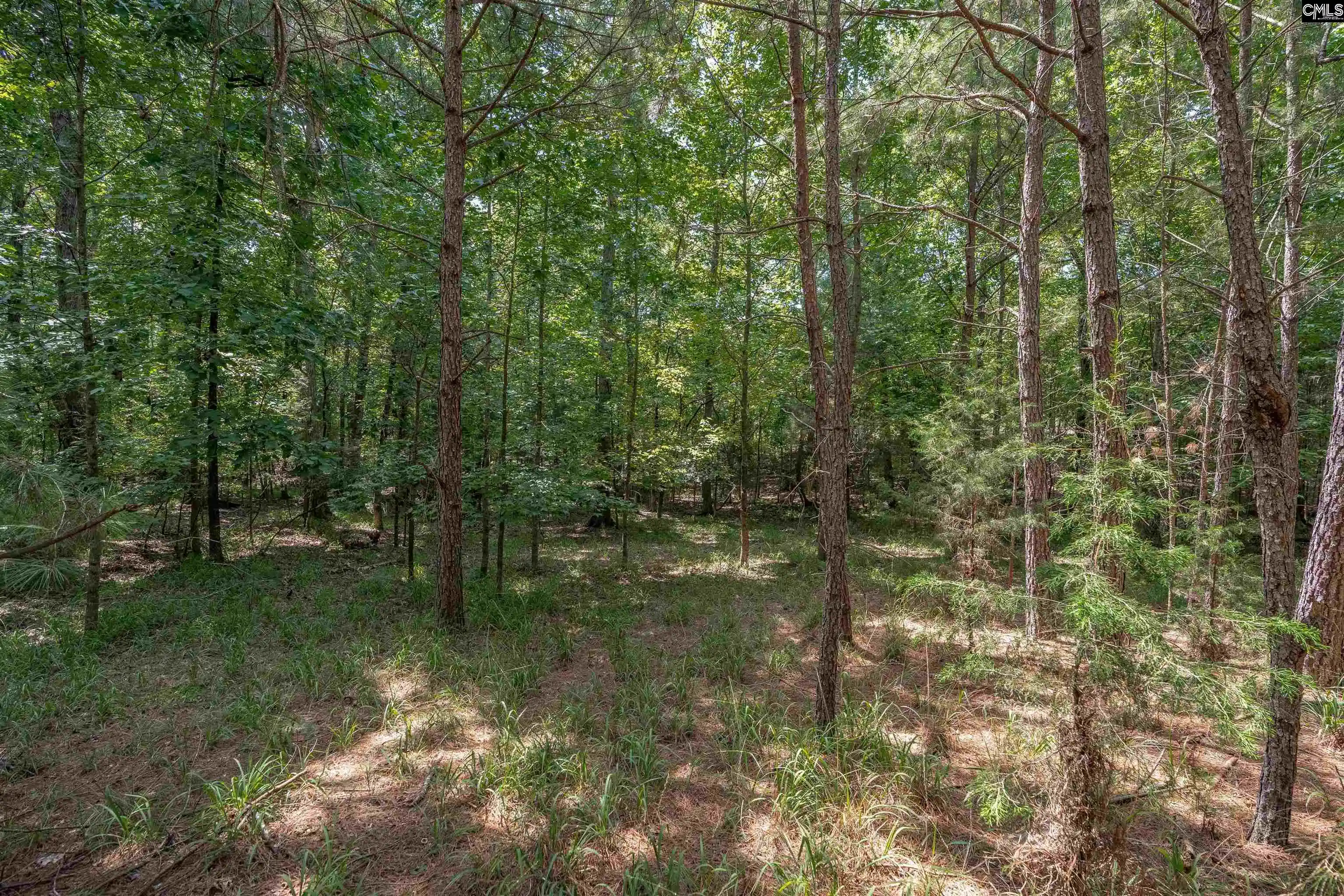 Photo 29 of Land for sale at 231 Tortoise, Batesburg, SC 29006 | MLS# 642175 | Listing updated on 2026-09-03