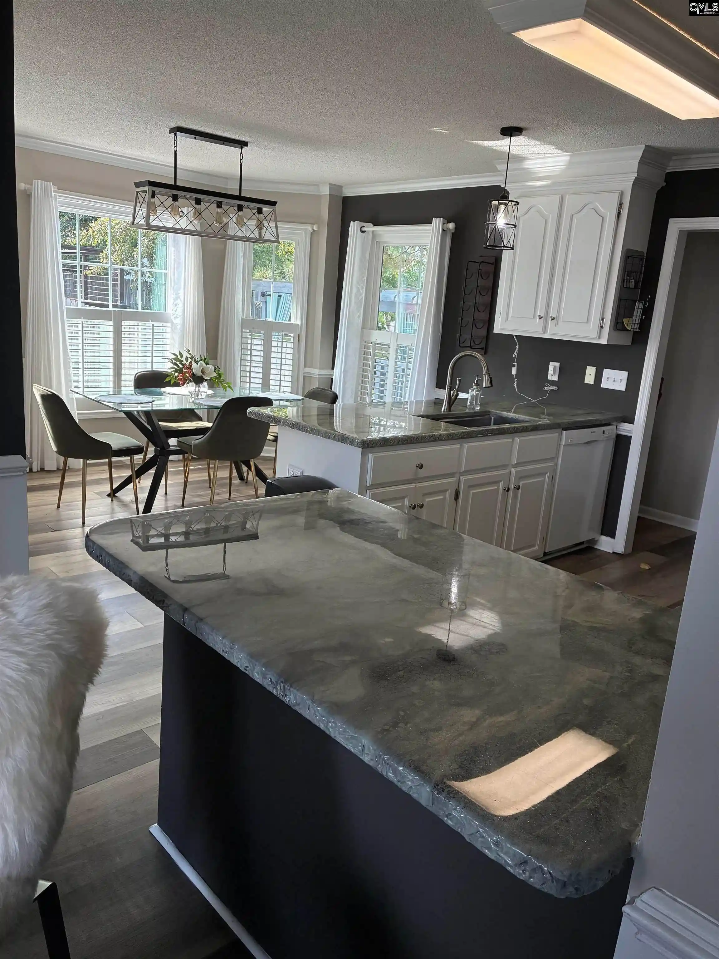 Photo 4 of Sale Pending at 245 Hallie Hills, Lexington, SC 29073 | MLS# 642231 | Listing updated on 2026-09-21