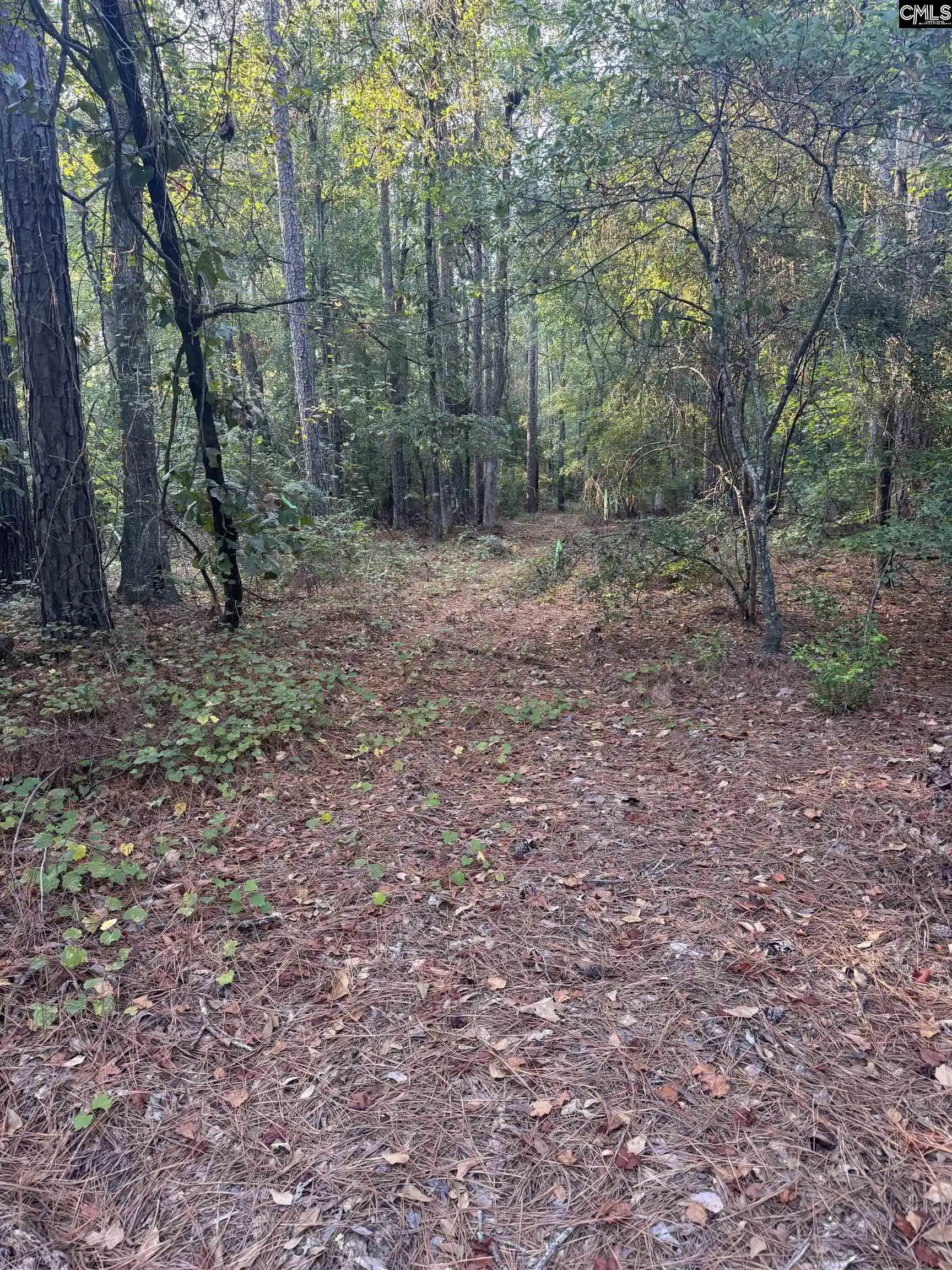 Photo 3 of Land for sale at 1336 Colie Branham, Lugoff, SC 29078 | MLS# 642246 | Listing updated on 2026-09-28