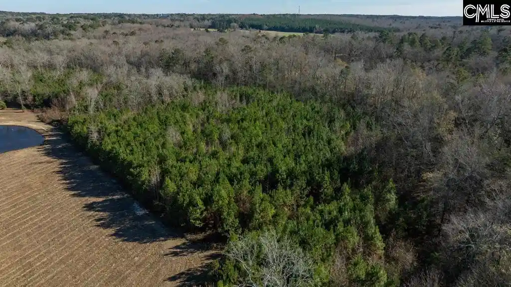 Photo 14 of Land for sale at 0 Cedar Grv, Leesville, SC 29070 | MLS# 642266 | Listing updated on 2026-09-03