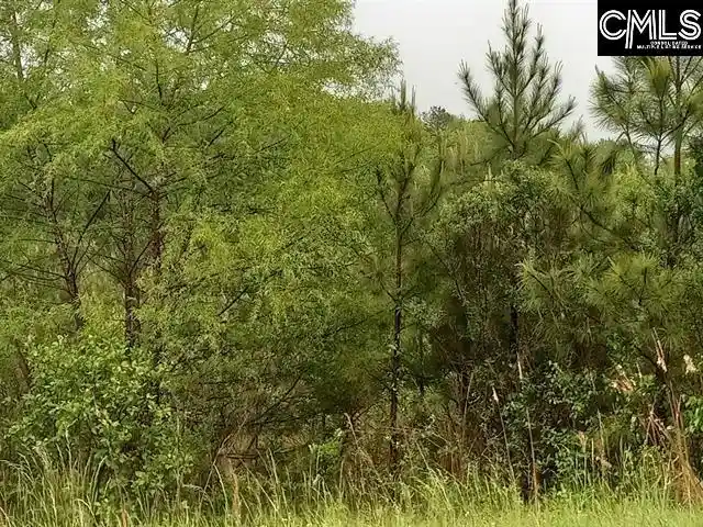 Photo 1 of Land for sale at 504 837 Possum Holw, Winnsboro, SC 29180 | MLS# 642298 | Listing updated on 2026-09-06