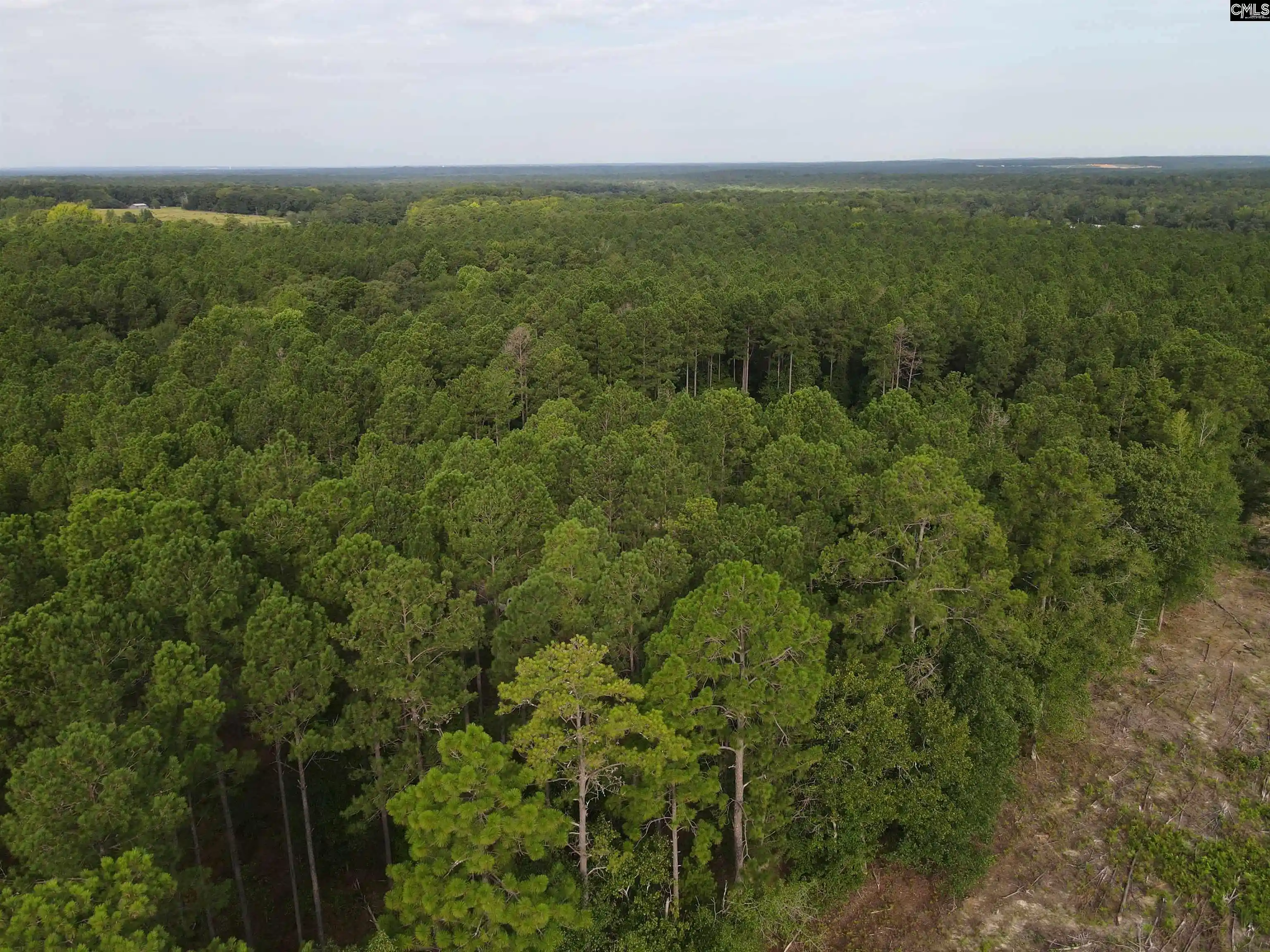 Photo 1 of Land for sale at Tract 2 Bridle Path, Camden, SC 29020 | MLS# 642343 | Listing updated on 2026-09-03