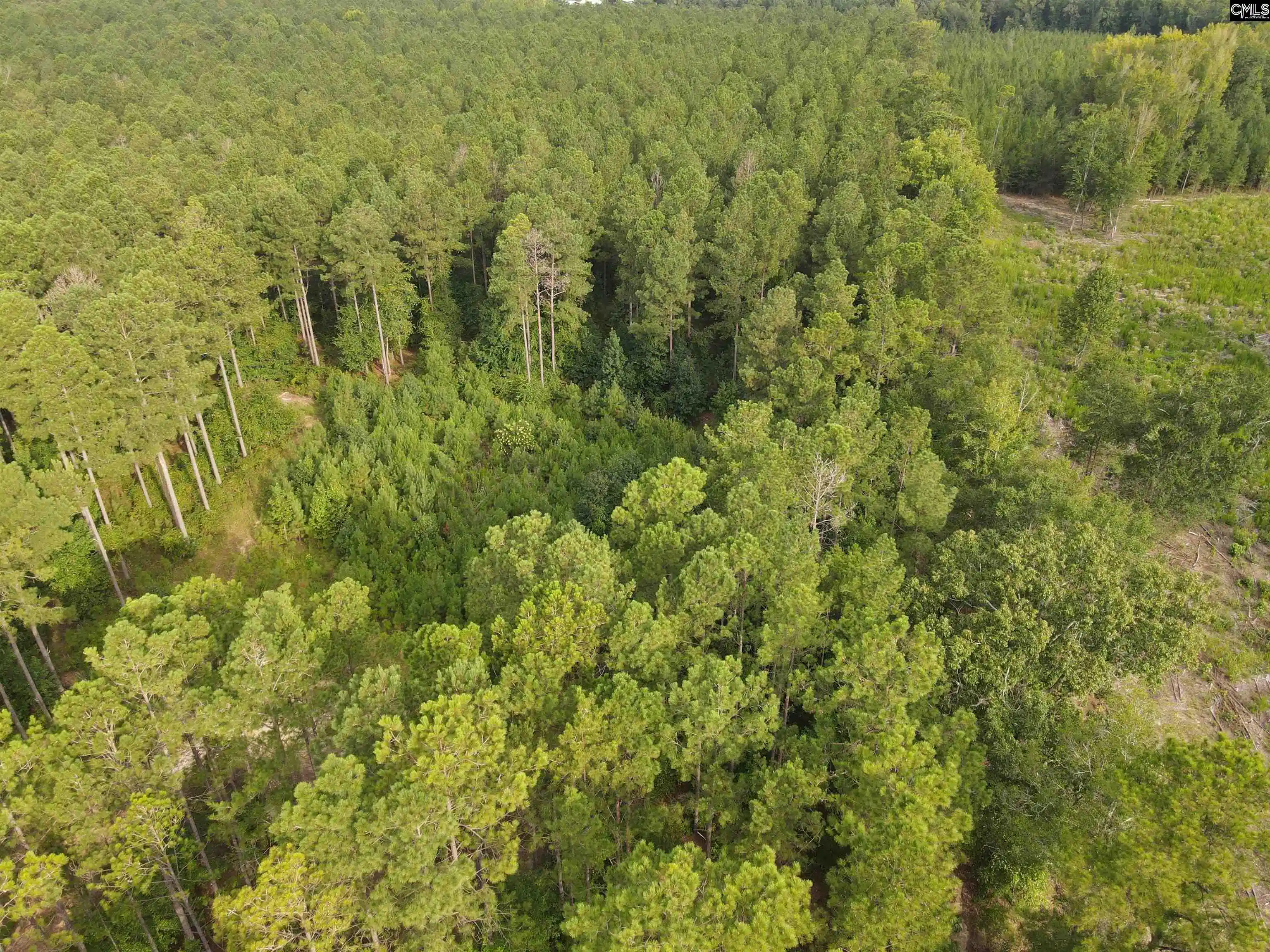 Photo 3 of Land for sale at Tract 2 Bridle Path, Camden, SC 29020 | MLS# 642343 | Listing updated on 2026-09-03