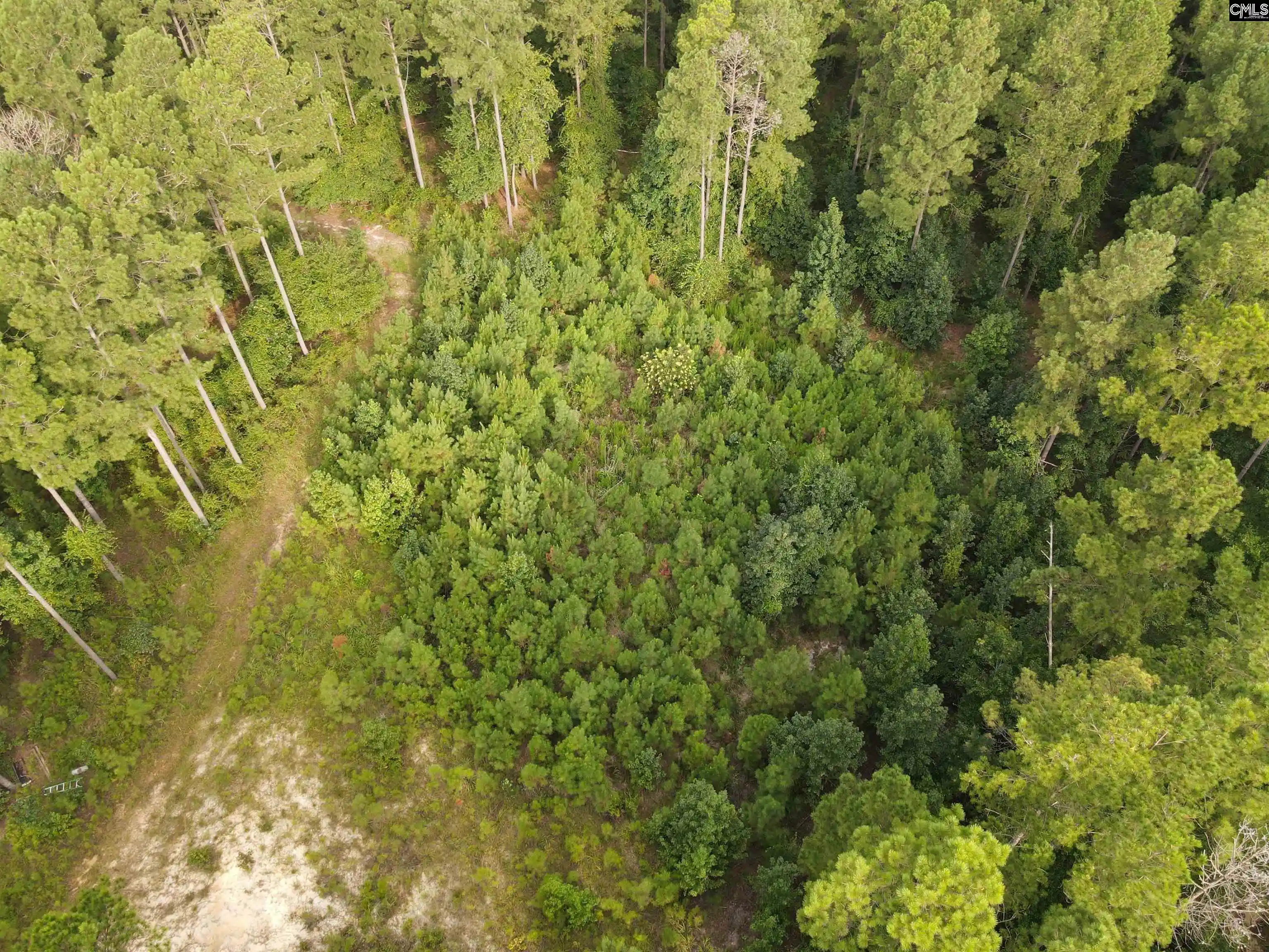 Photo 4 of Land for sale at Tract 3 Bridle Path, Camden, SC 29020 | MLS# 642345 | Listing updated on 2026-09-03