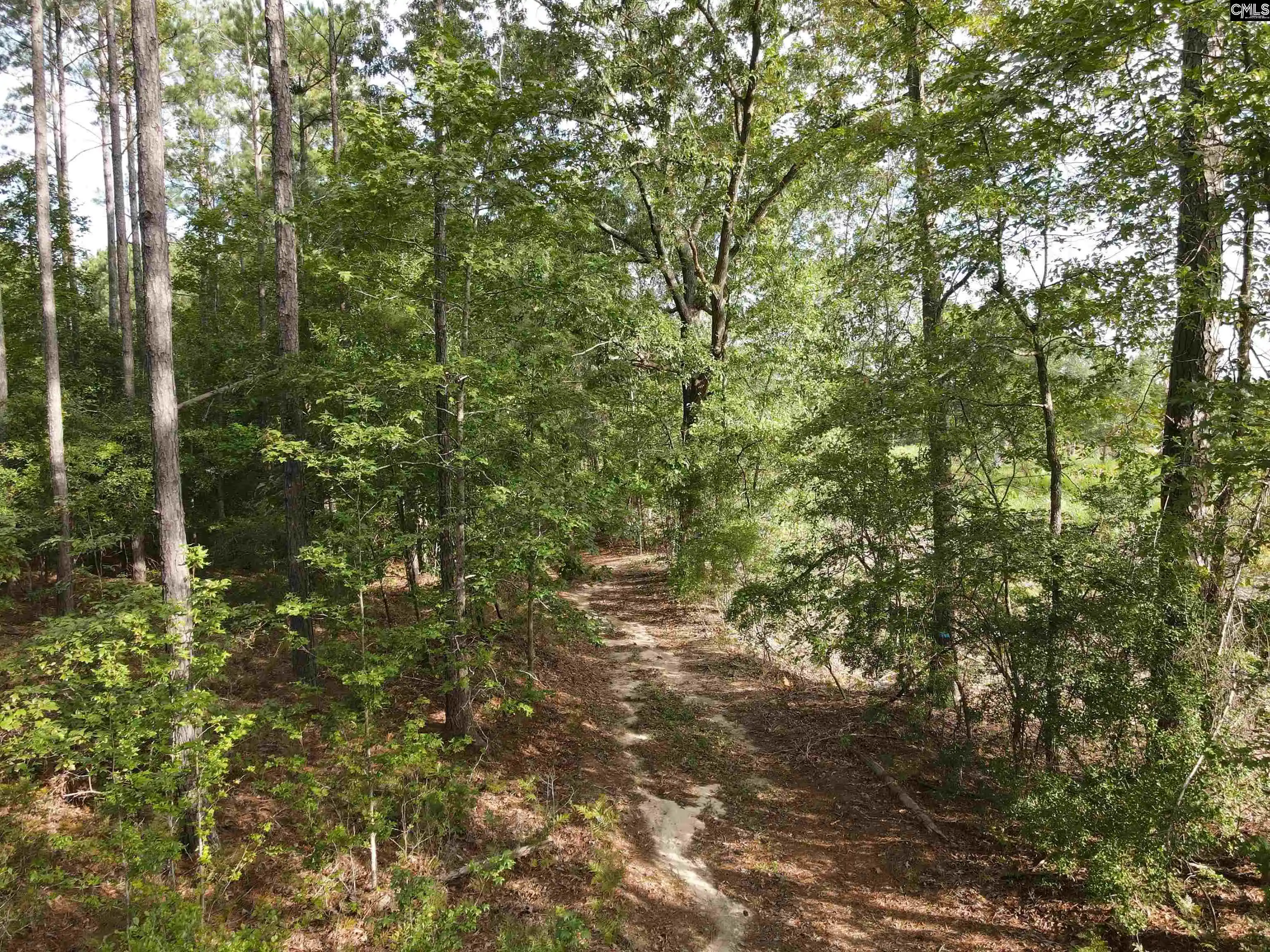Photo 9 of Land for sale at Tract 3 Bridle Path, Camden, SC 29020 | MLS# 642345 | Listing updated on 2026-09-03