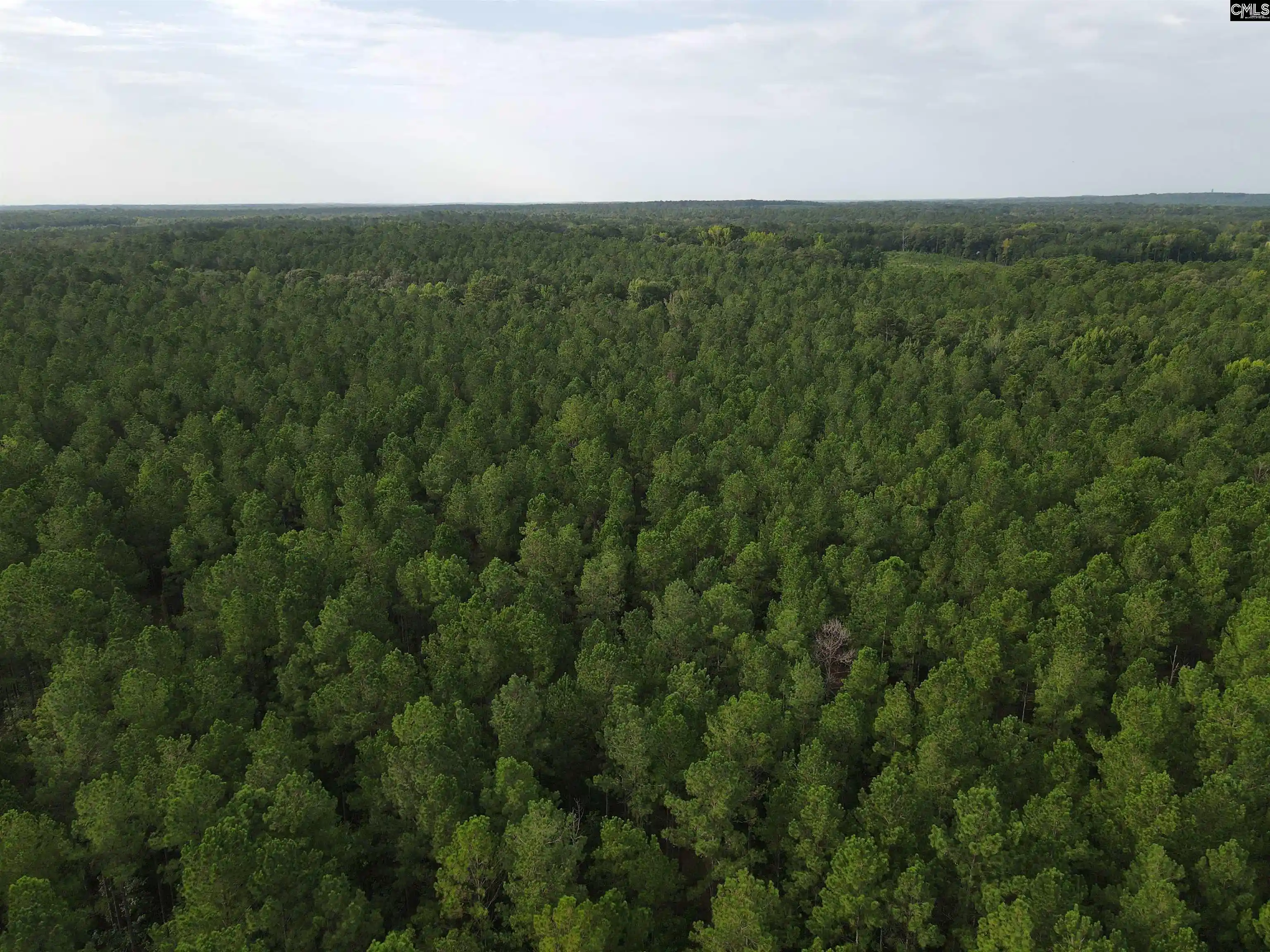 Photo 5 of Land for sale at Tract 4 Bridle Path, Camden, SC 29020 | MLS# 642346 | Listing updated on 2026-09-03